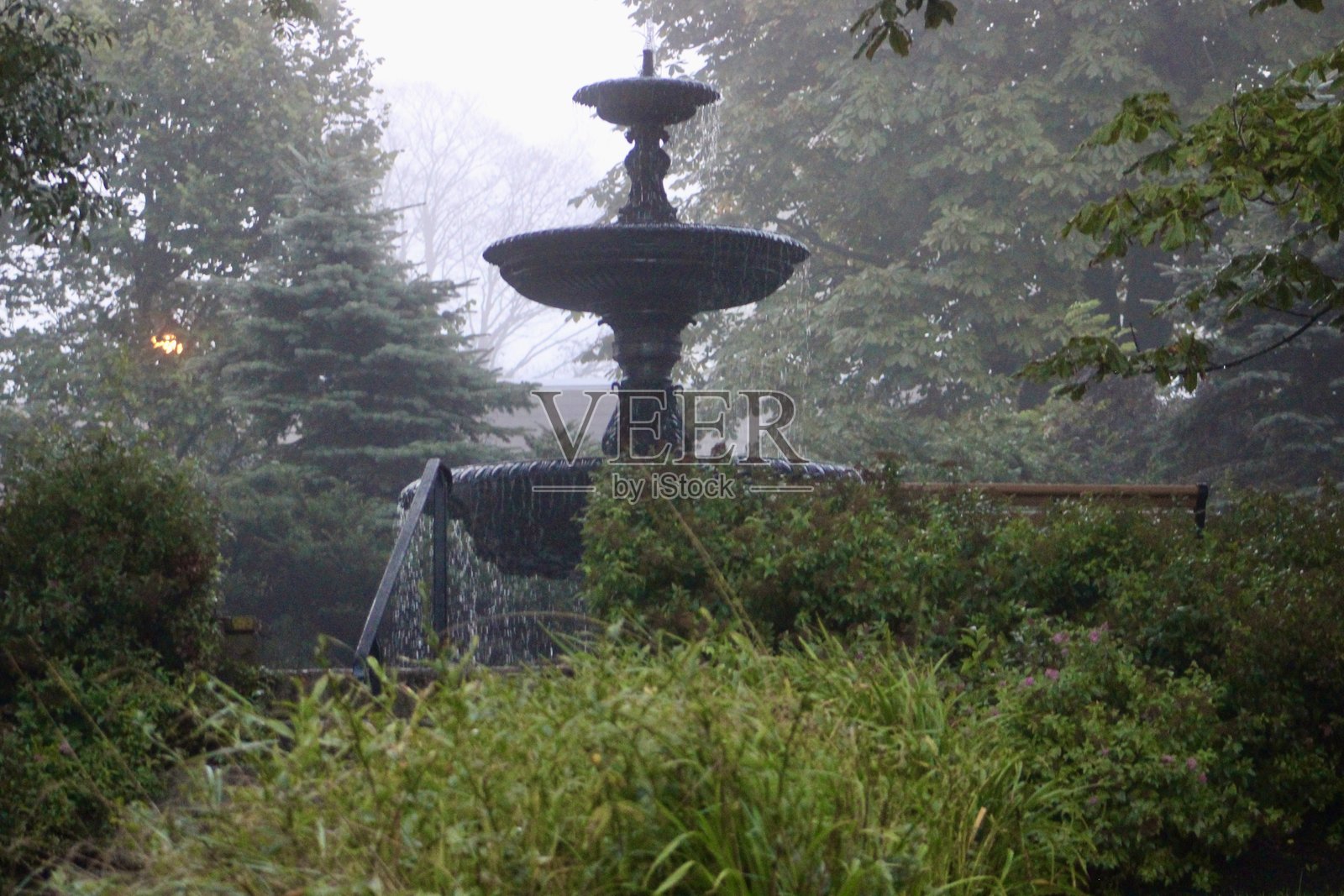 霜冻公园照片摄影图片