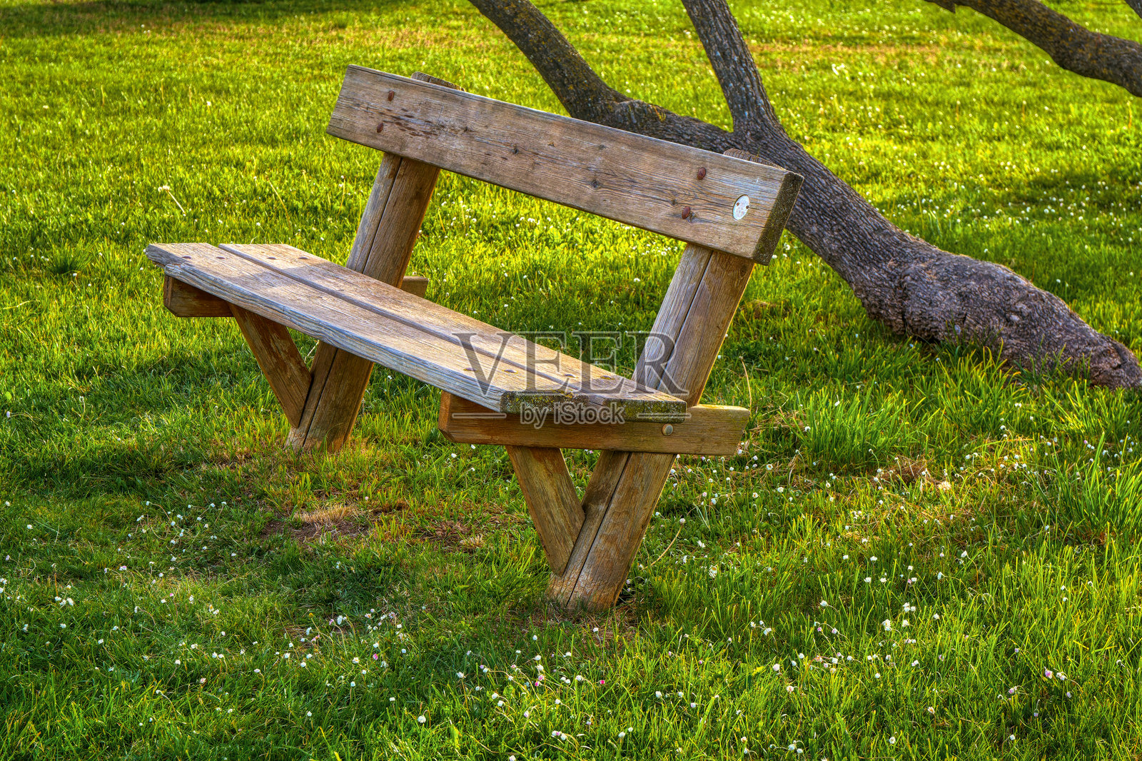 绿色中的公园长椅照片摄影图片