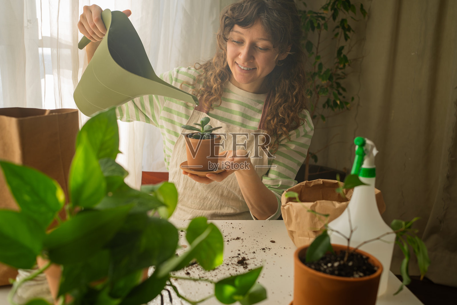 女人在家里用绿色浇水壶给植物浇水照片摄影图片