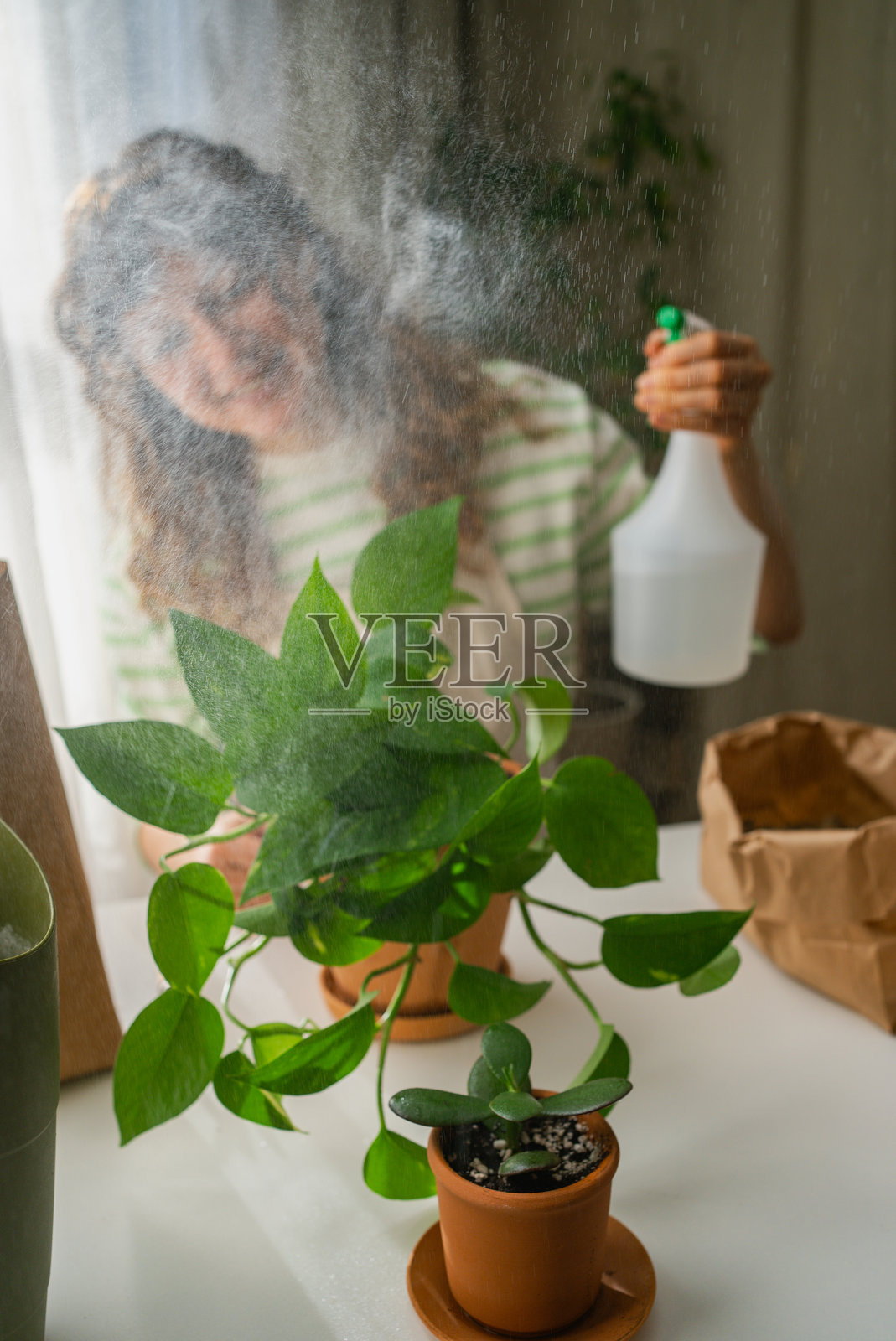 女人在家中给室内植物喷洒水,享受她的爱好照片摄影图片