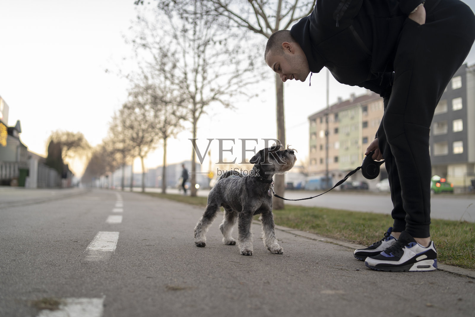 晨间遛狗照片摄影图片