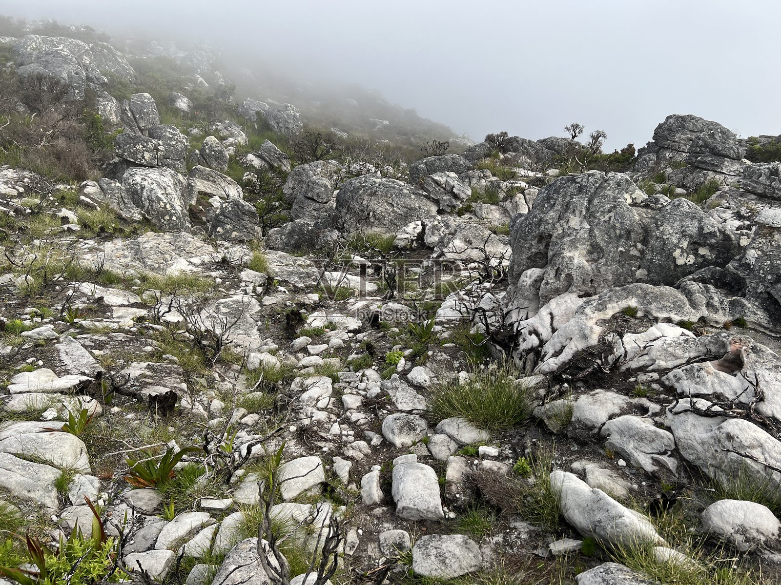 雾气弥漫的桌山顶峰照片摄影图片