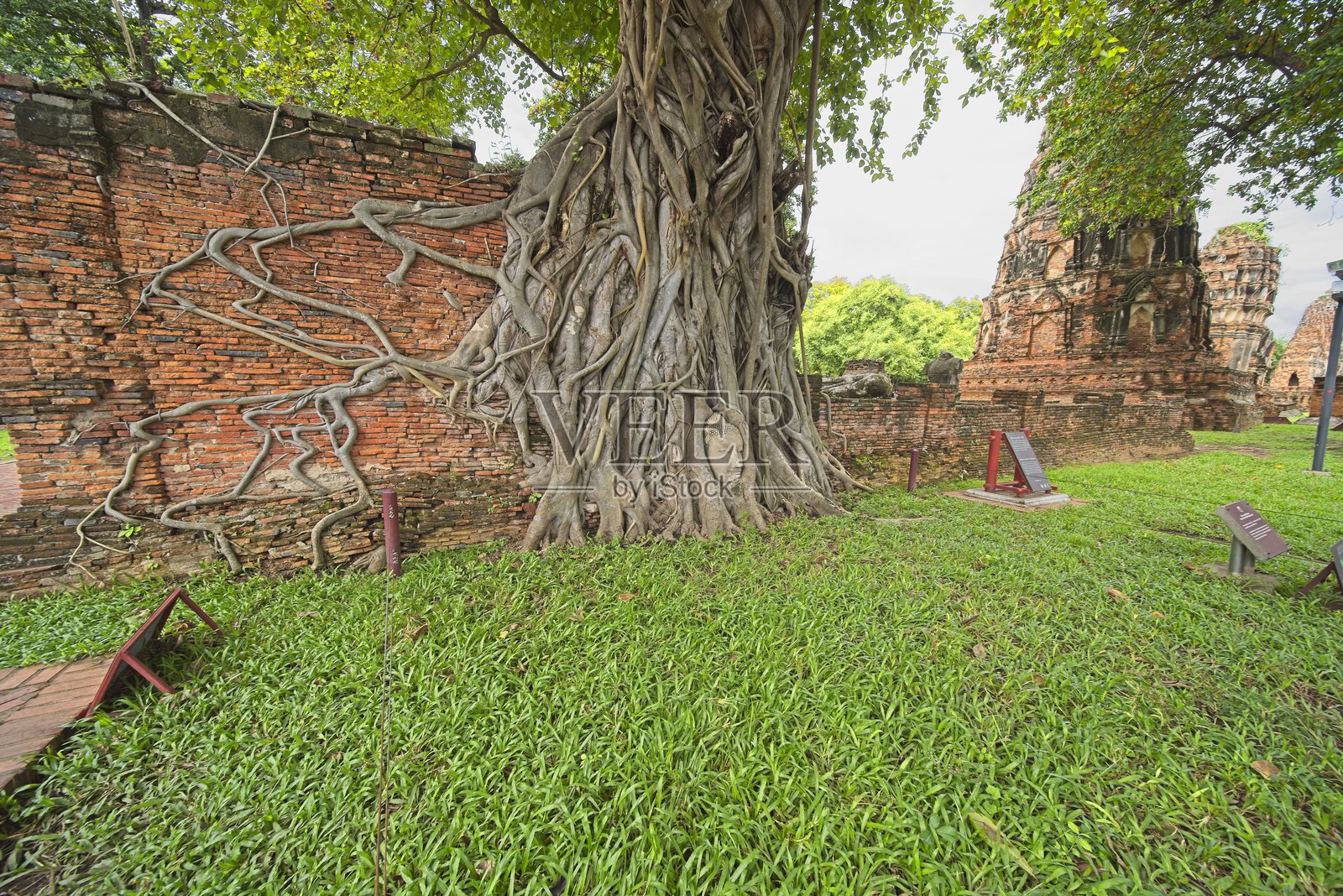 泰国大城的玛哈泰寺照片摄影图片