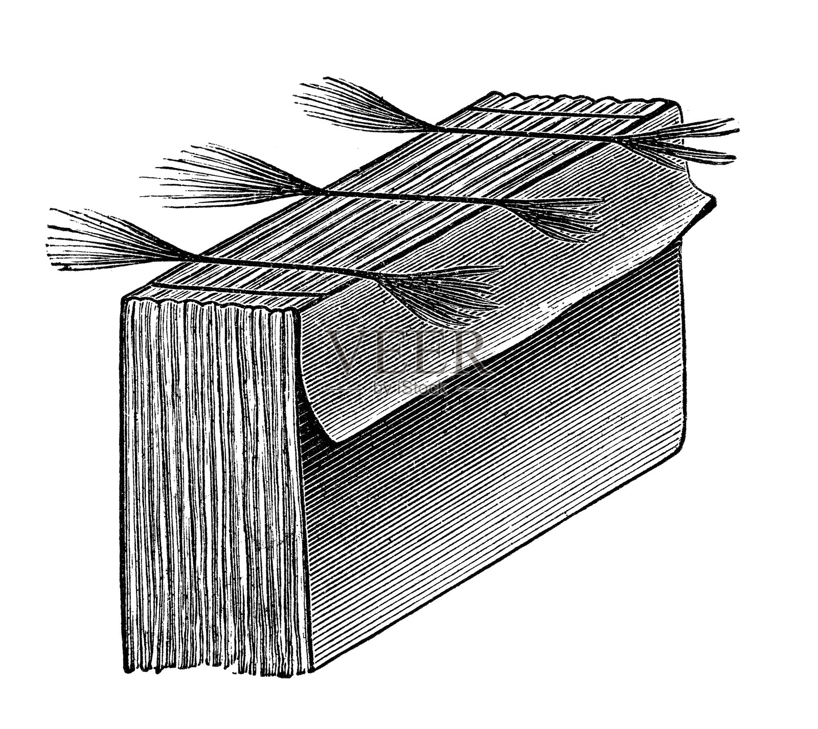 装订书籍插画图片素材