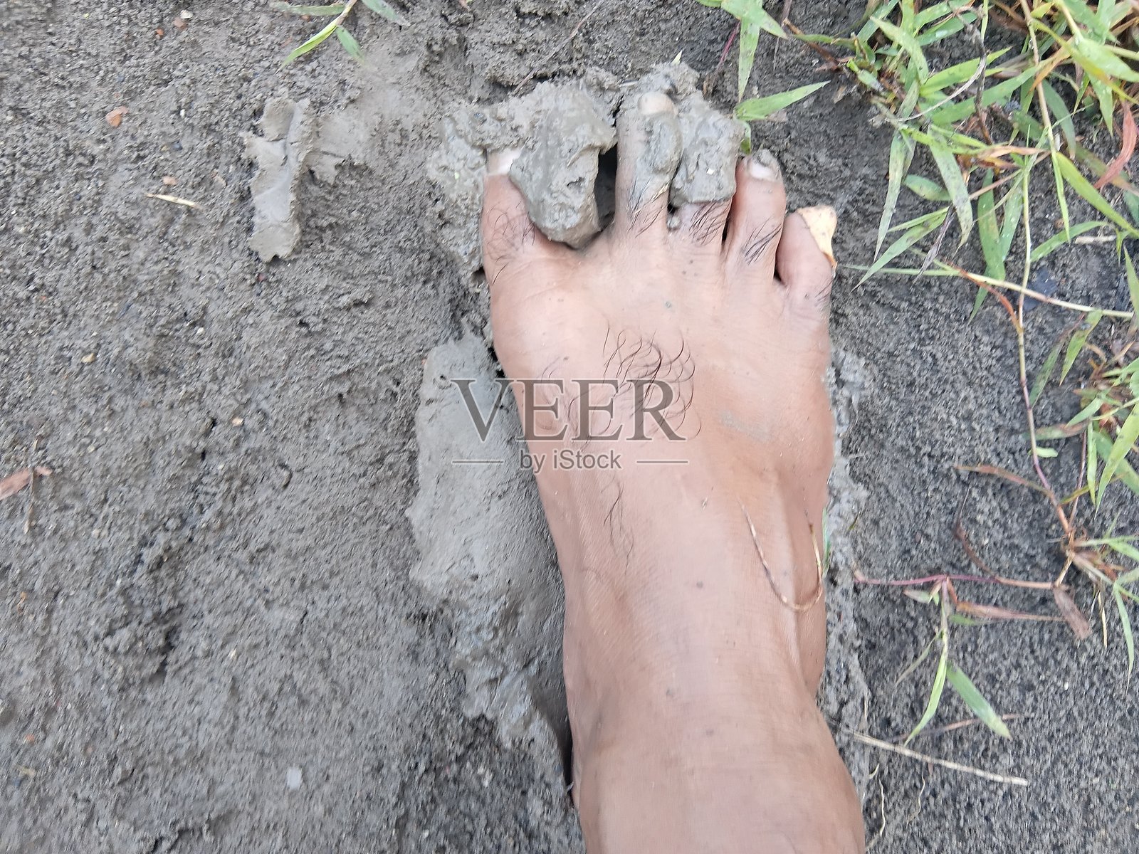 一只泥泞的脚照片摄影图片