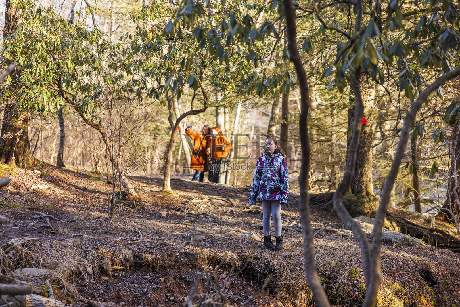 青少年在林间小径探险,中年女性在波科诺山的徒步小道上跟随。照片摄影图片