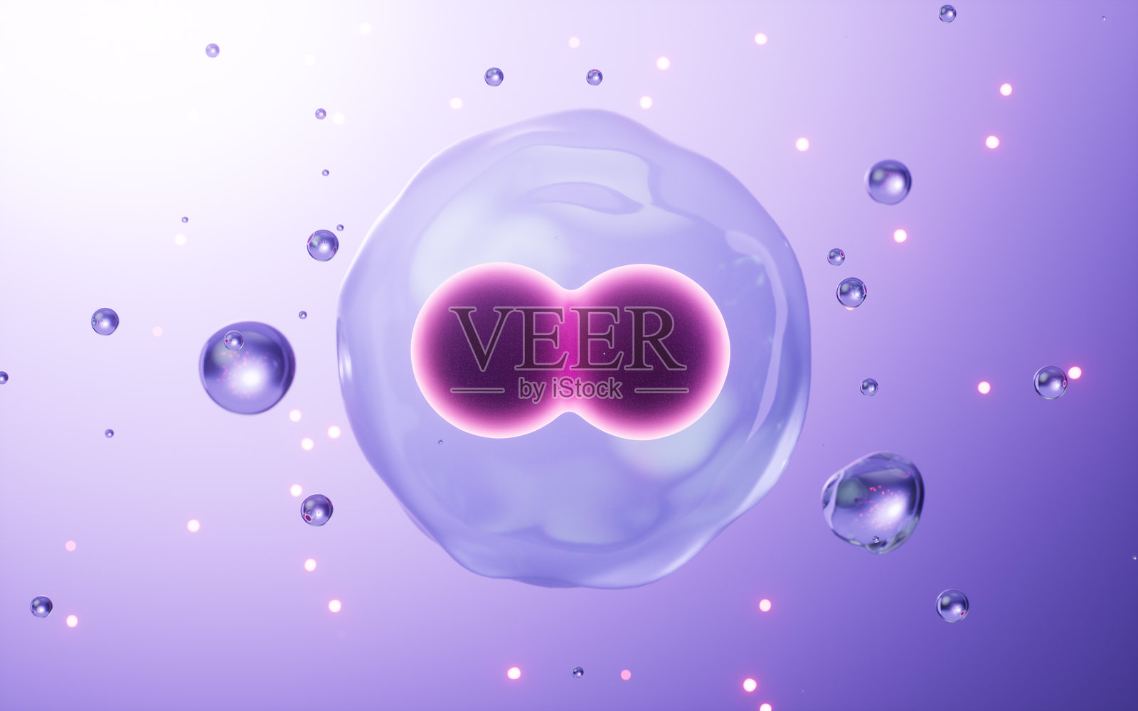 细胞分裂,细胞分裂成两个细胞,生物学和医学概念,3D渲染。照片摄影图片