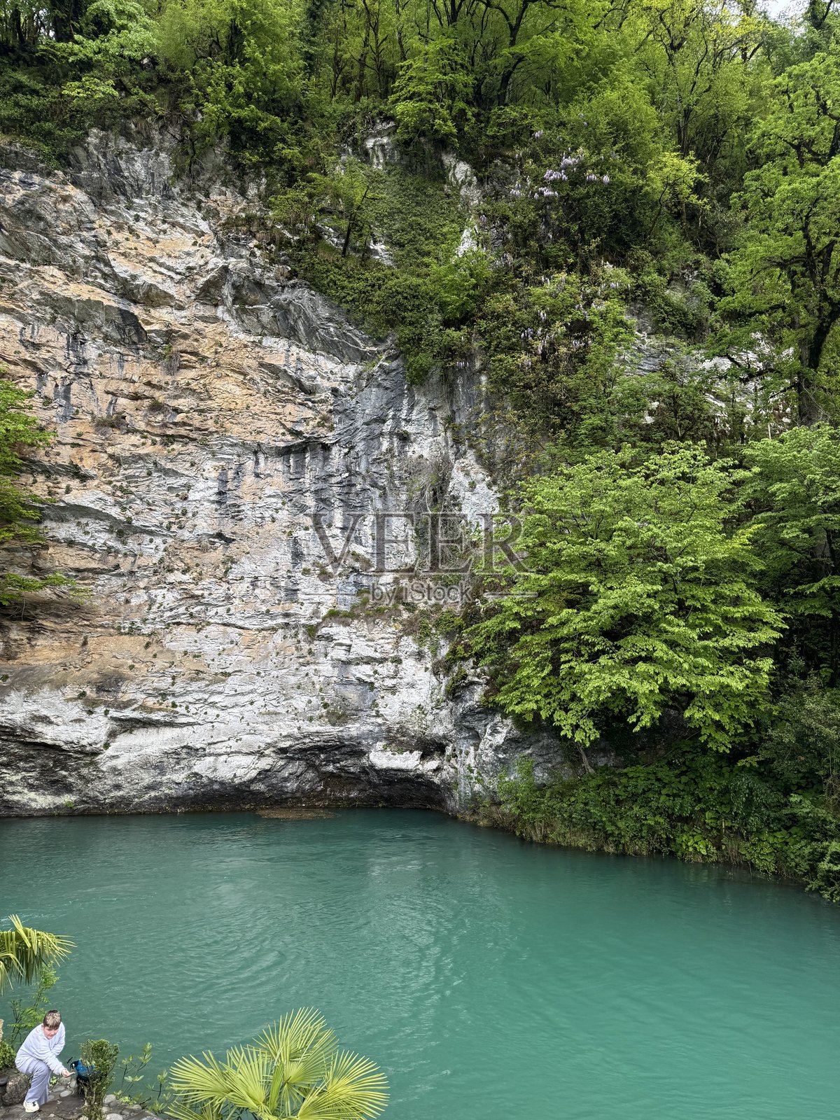 令人惊叹的空中视角,俯瞰郁郁葱葱的悬崖,远处是宁静平静的水面。照片摄影图片