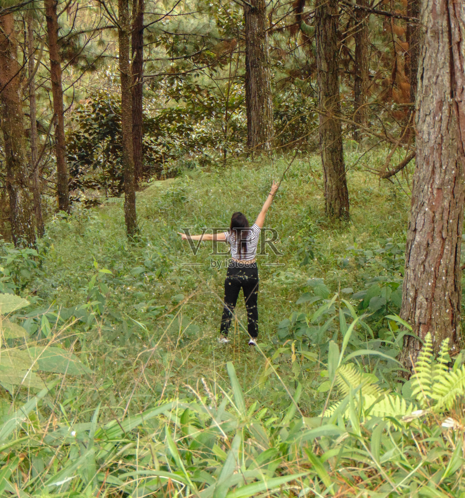 在森林中散步照片摄影图片