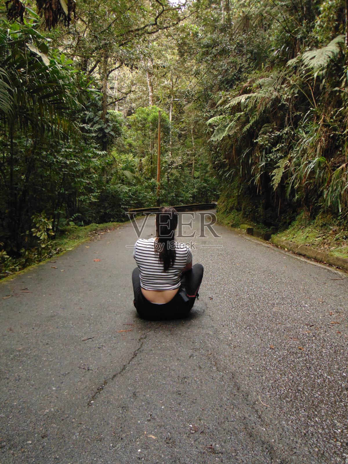 在森林中散步照片摄影图片
