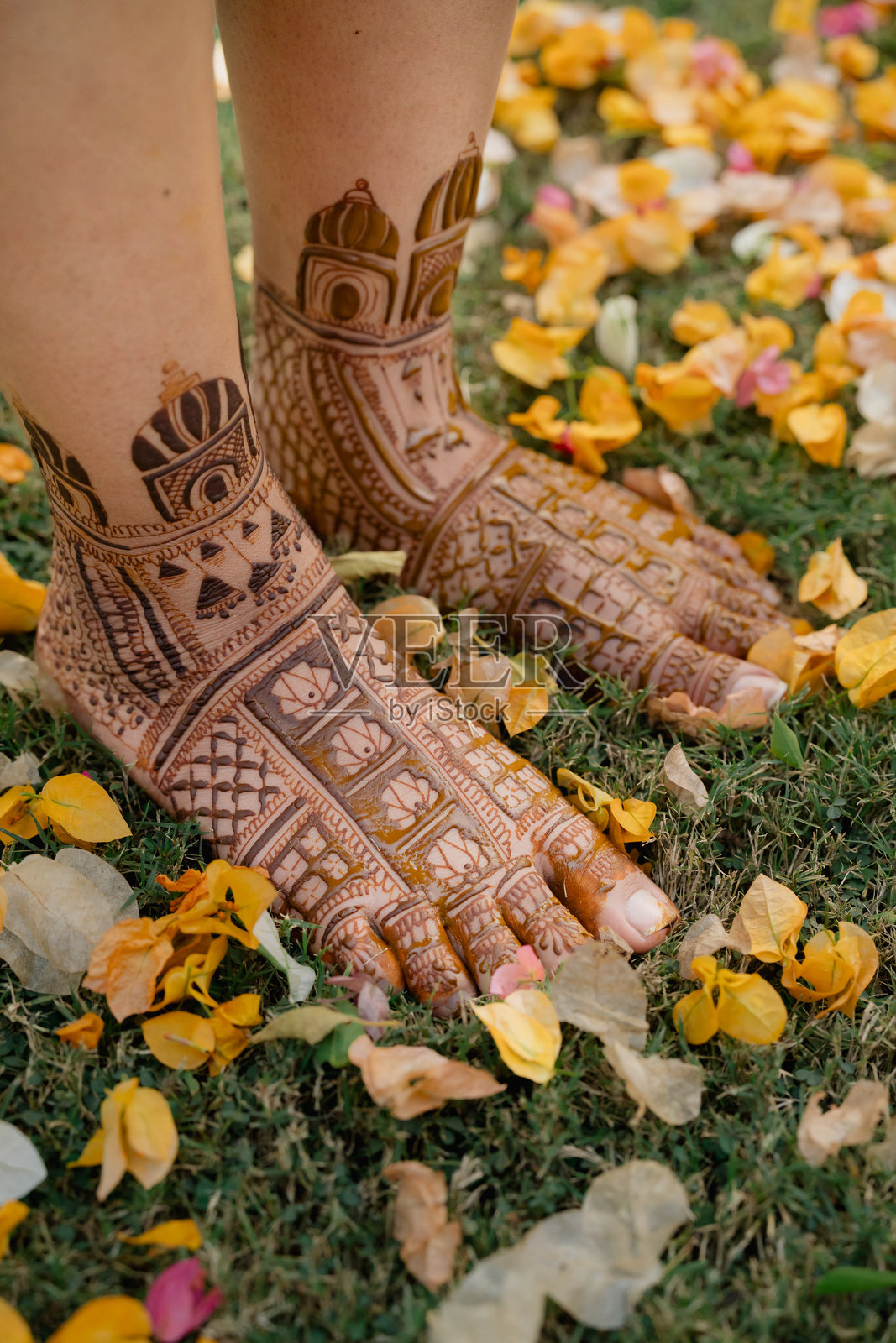 印度新娘美学照片摄影图片