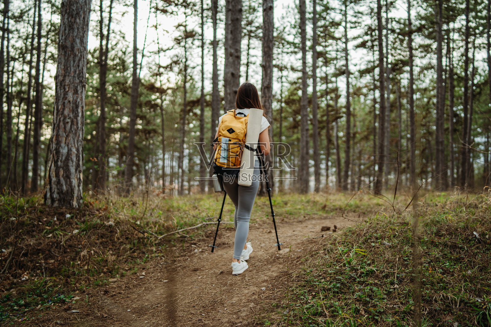 年轻女性在风景如画的森林中徒步旅行,手持登山杖。照片摄影图片