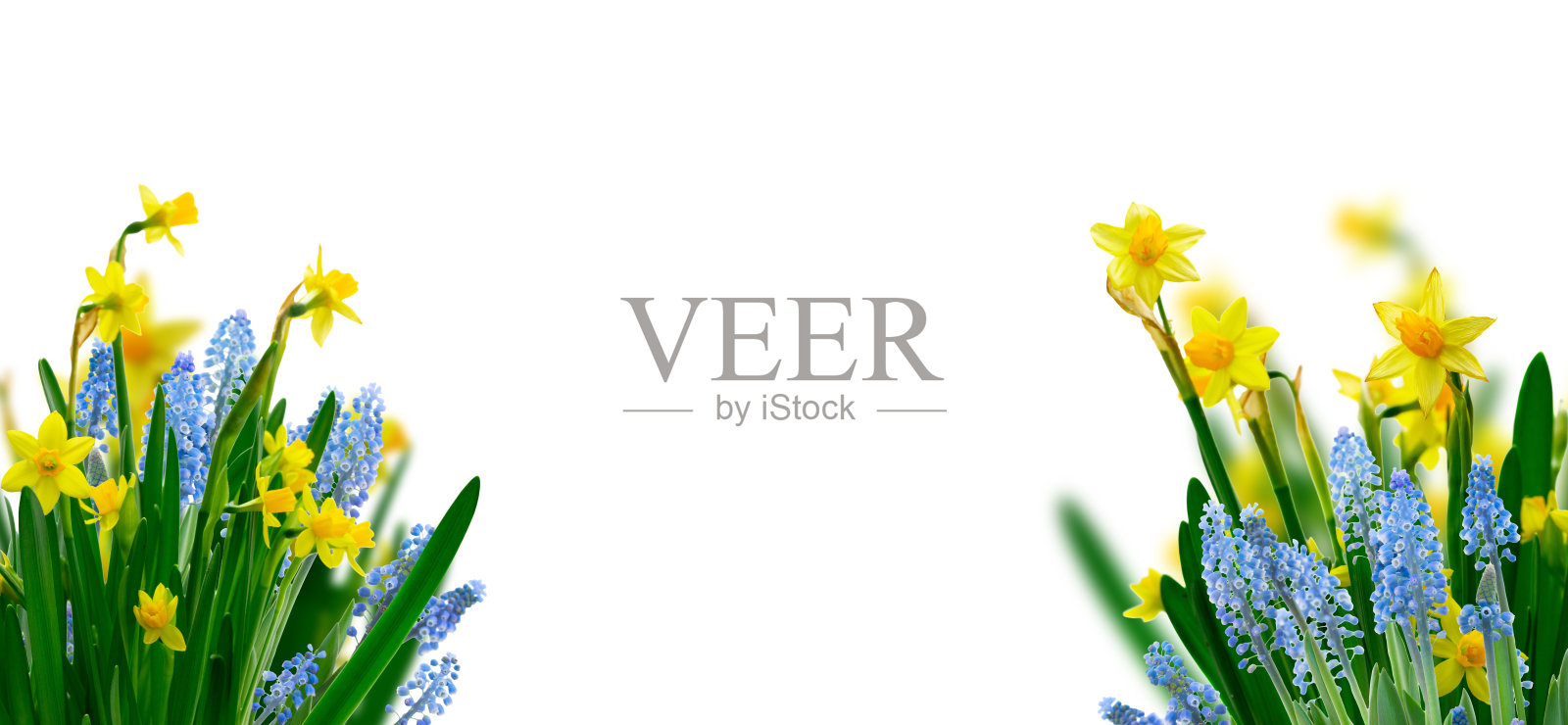 春天的花朵在花瓶中照片摄影图片