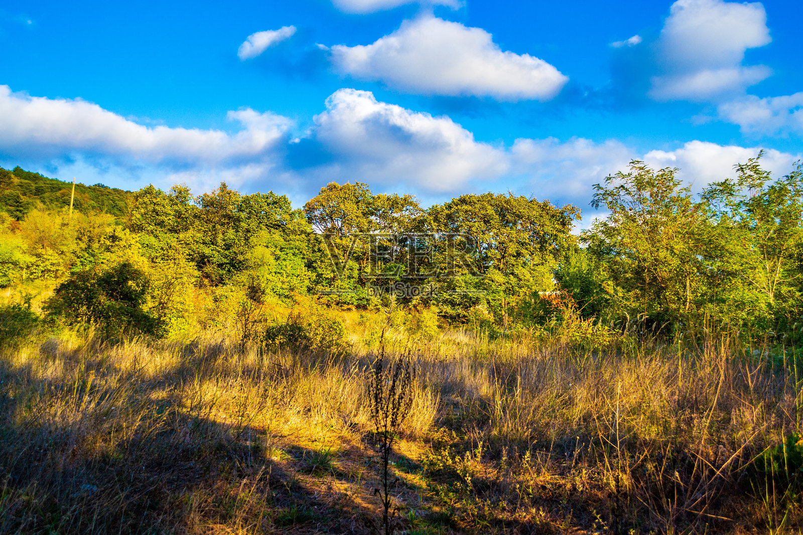 美丽的秋季荒野田园风光,位于保加利亚瓦尔纳的十月。照片摄影图片