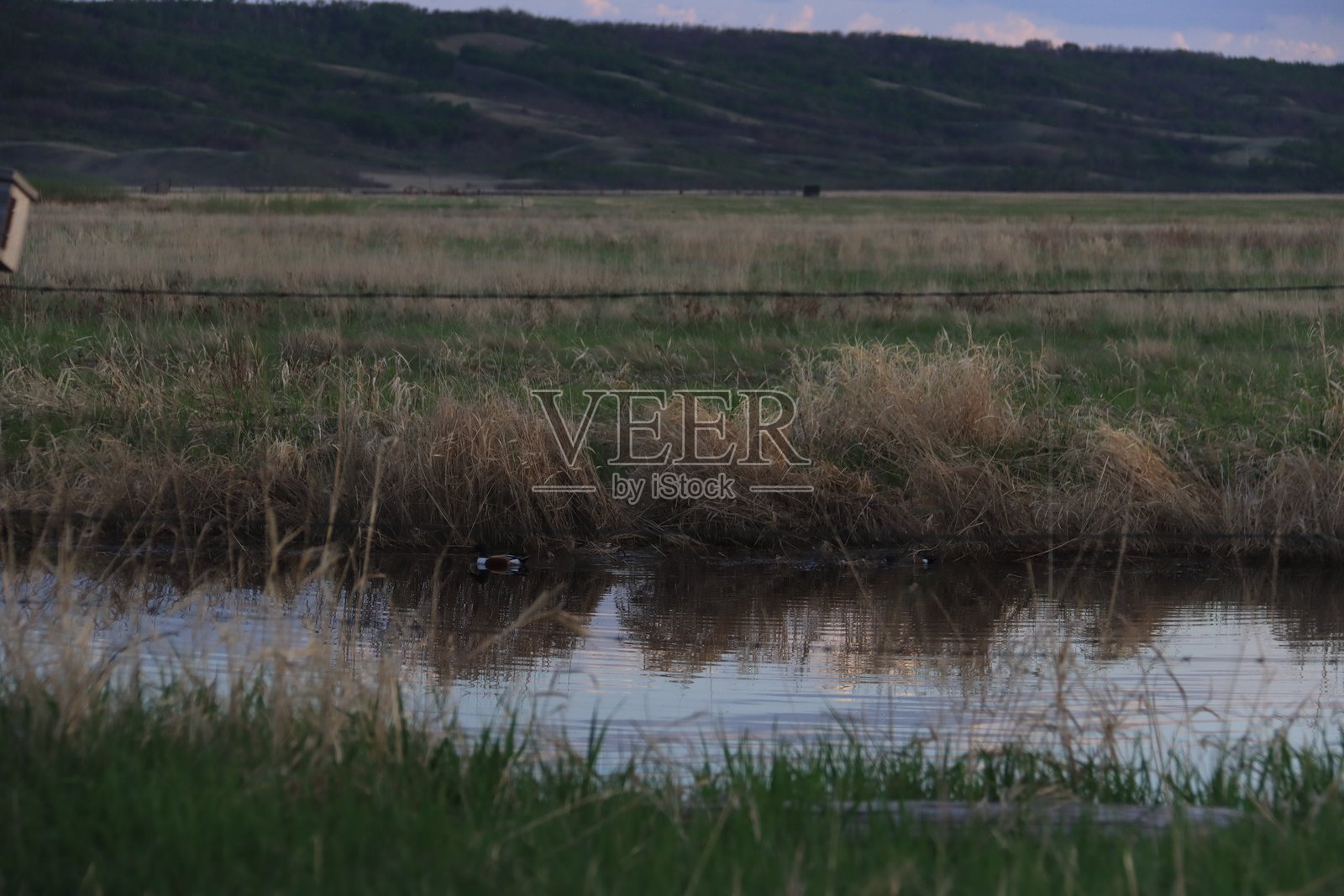 洪水泛滥的山谷中的夏季场景照片摄影图片