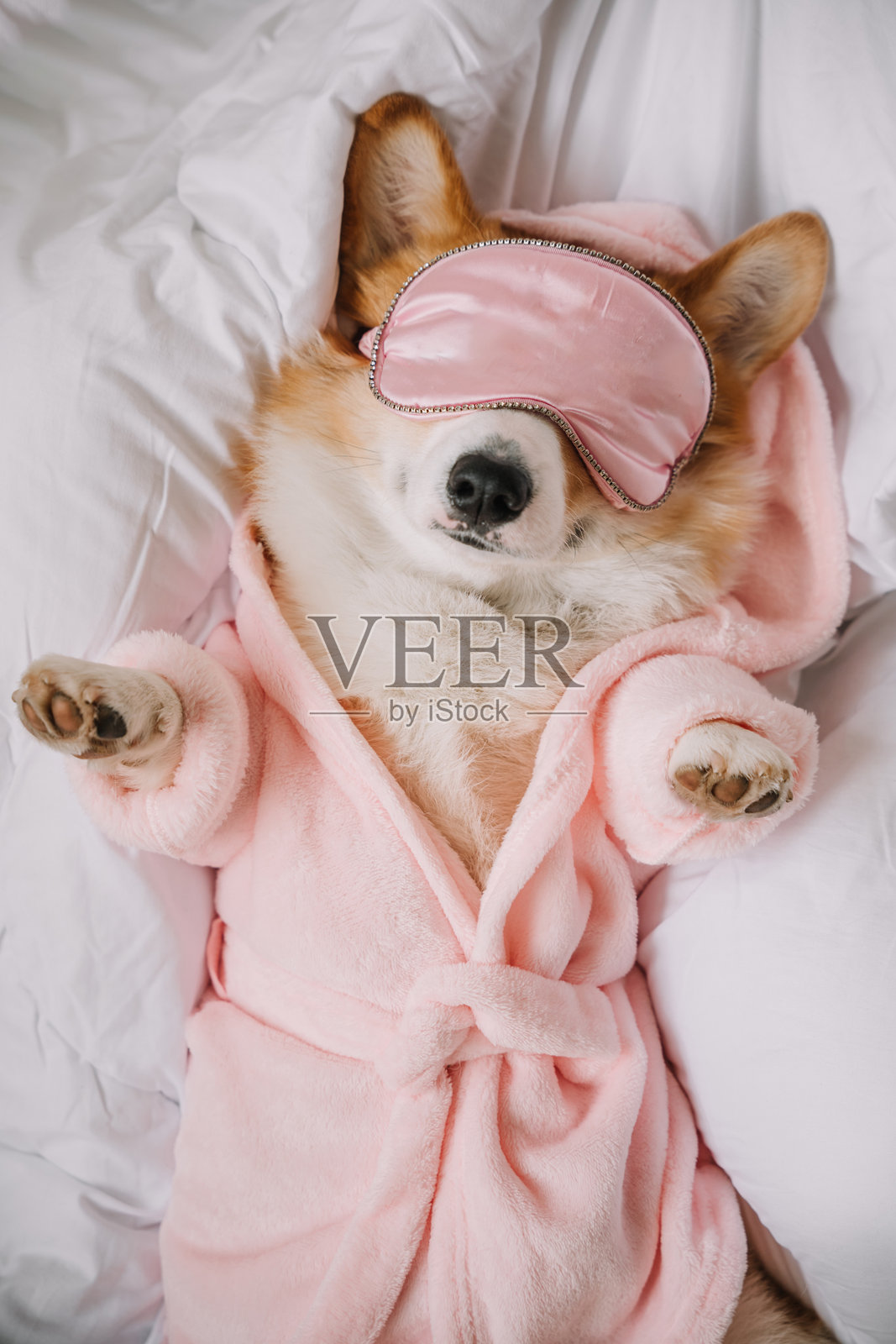 柯基犬穿着粉色浴袍和睡眠眼罩,在舒适的床上享受温馨的午后时光。照片摄影图片