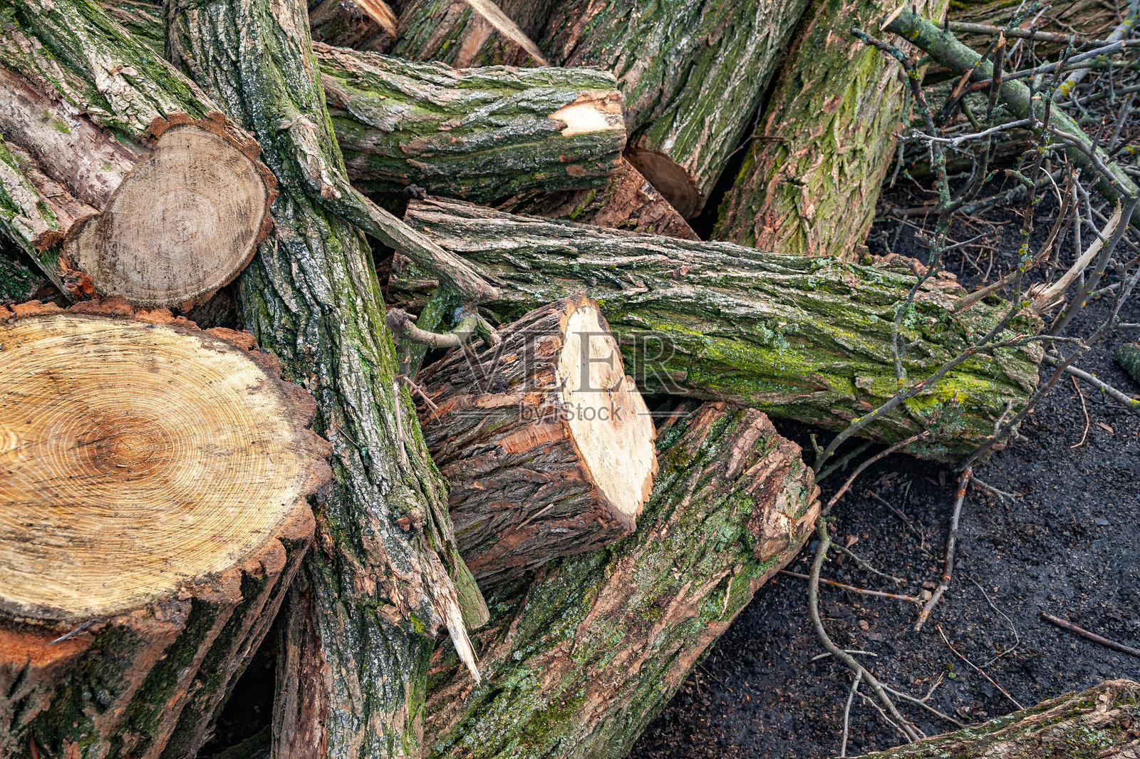 覆盖着苔藓的木材。切割木材的特写。柴火堆。为壁炉准备的劈柴木堆,选择性焦点。柴火的背景。照片摄影图片