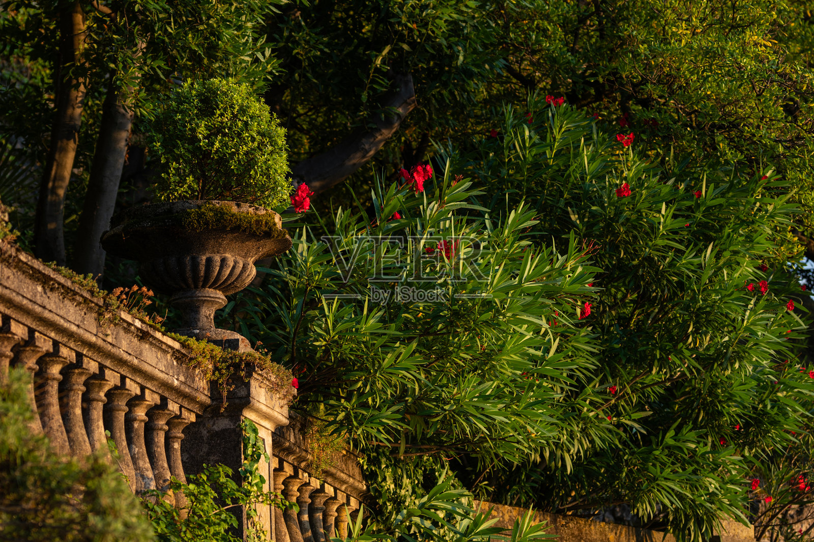 意大利瓦伦纳日落时分的华丽石栏杆与郁郁葱葱的绿植和花朵照片摄影图片