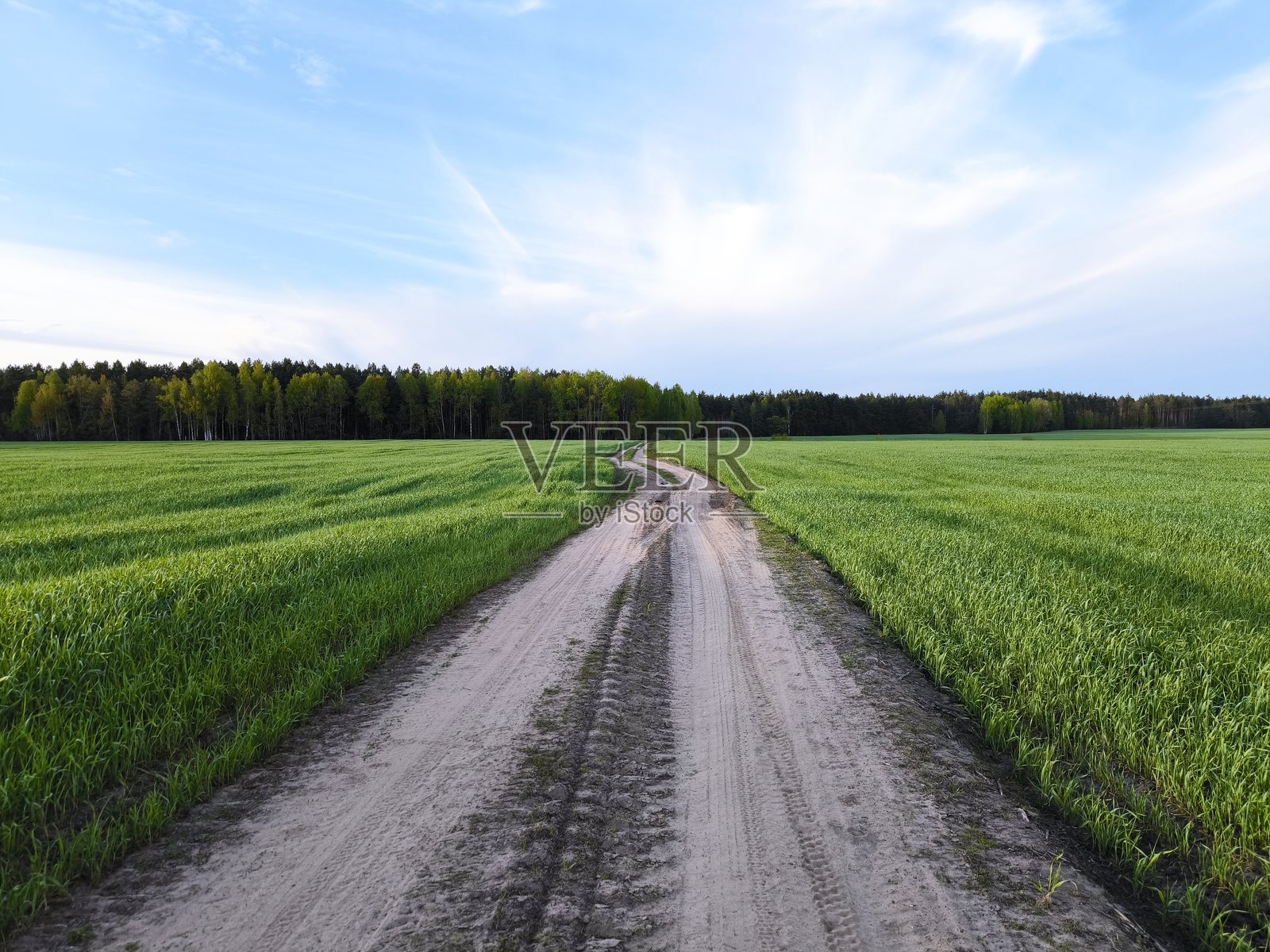 阳光明媚的乡村绿草地中间的一条道路。照片摄影图片
