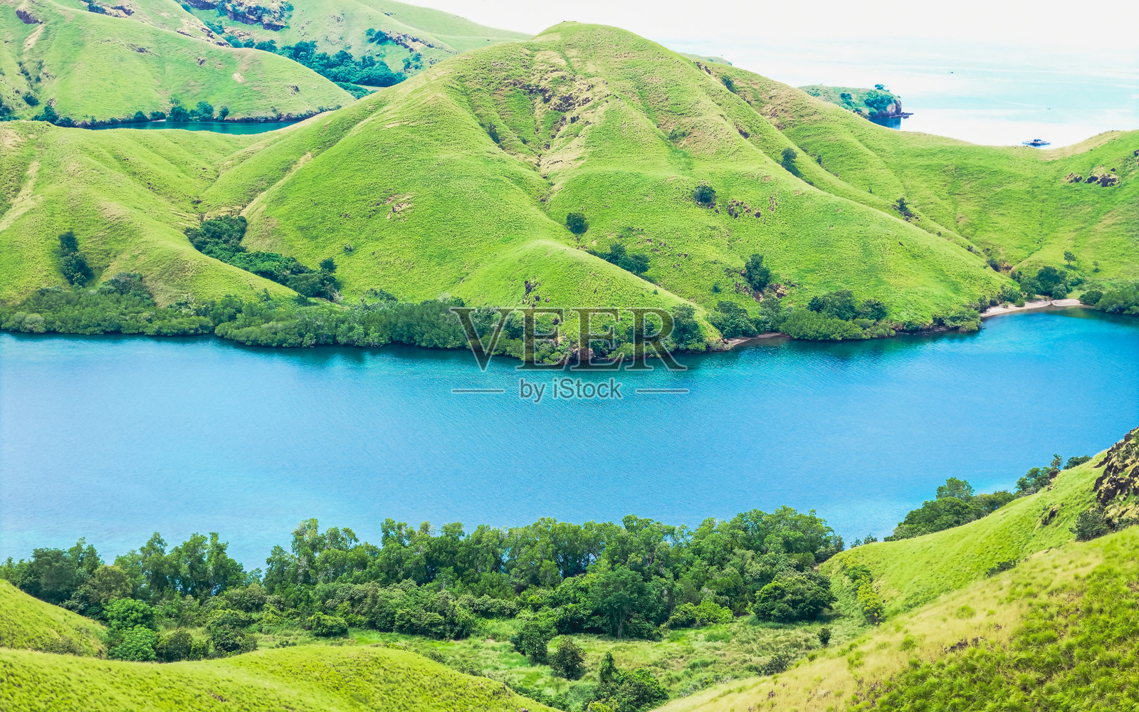 宁静的海湾和起伏的绿丘,理想的夏季背景,适合放松和旅行主题。照片摄影图片