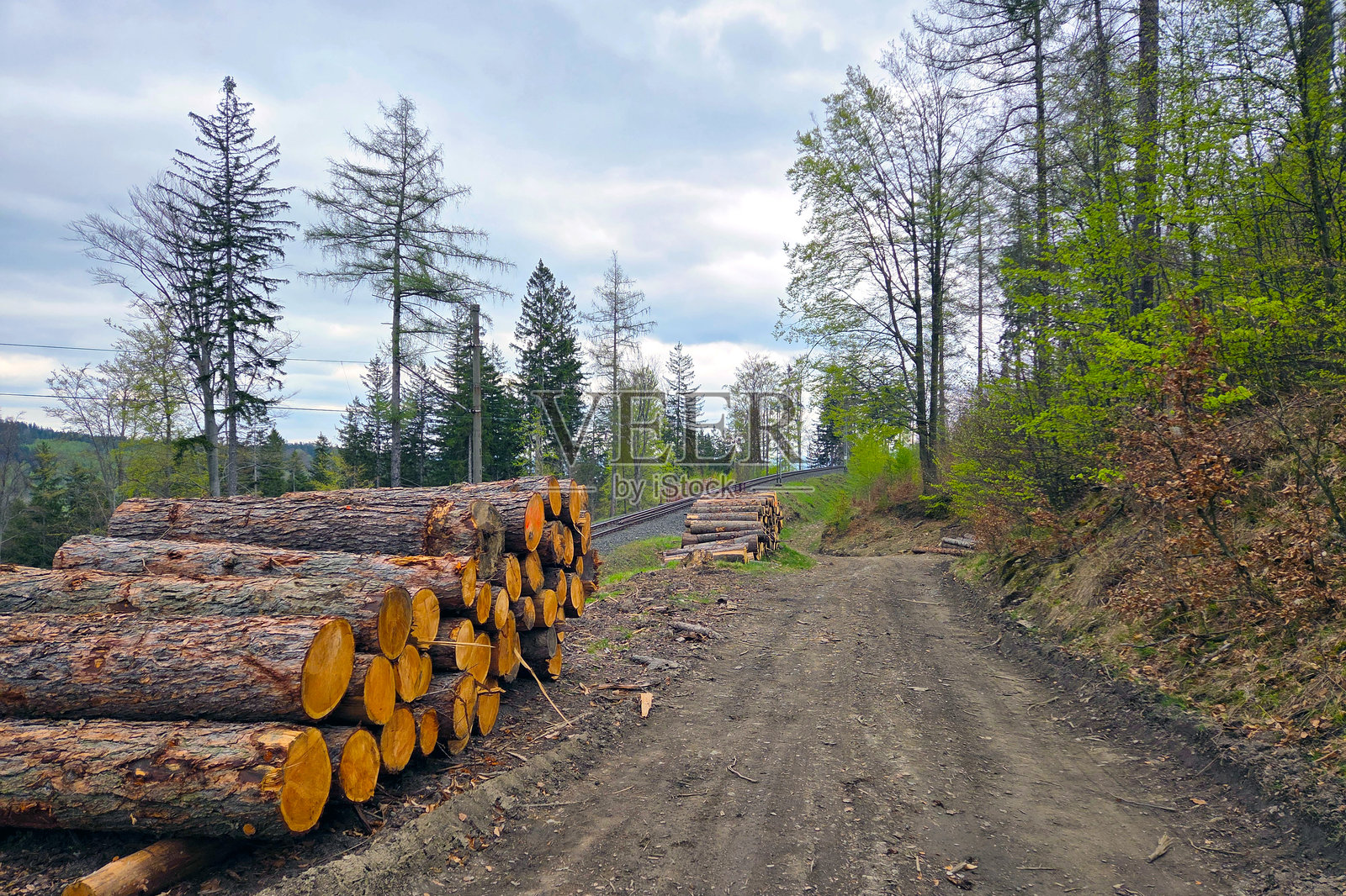 森林伐木场景,泥土小路和铁路旁的木材原木照片摄影图片
