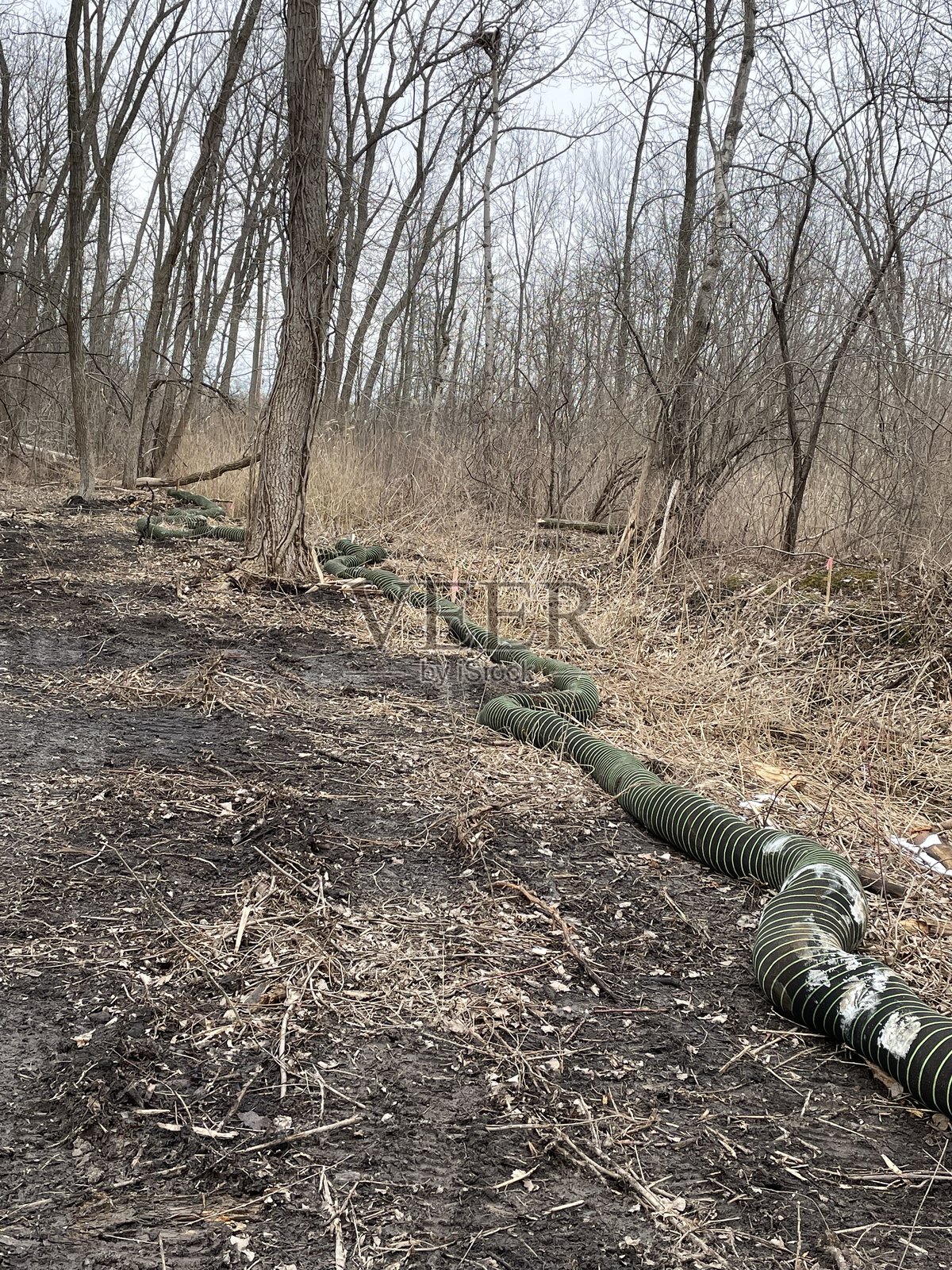过滤器照片摄影图片