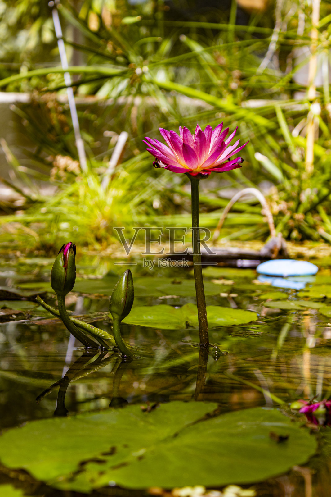 平面图细节照片摄影图片