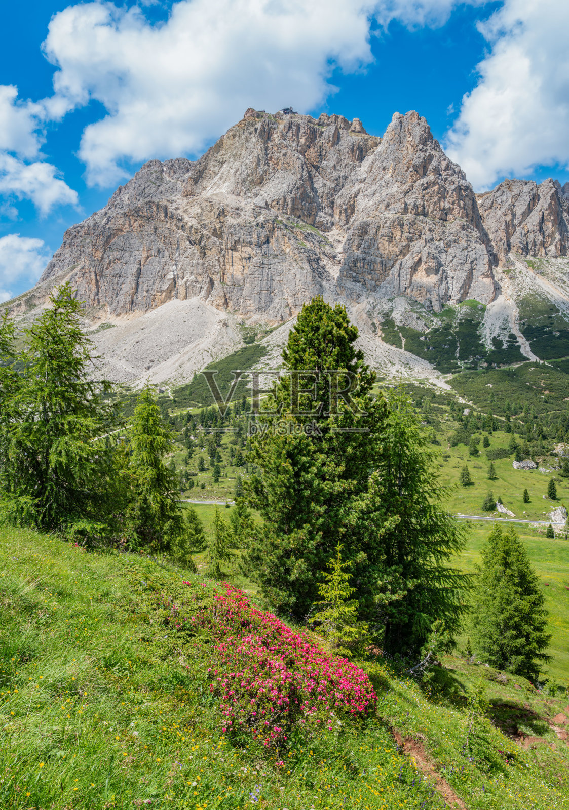 风景如画的山脉景观,粉色花朵与蓝天相映成趣照片摄影图片