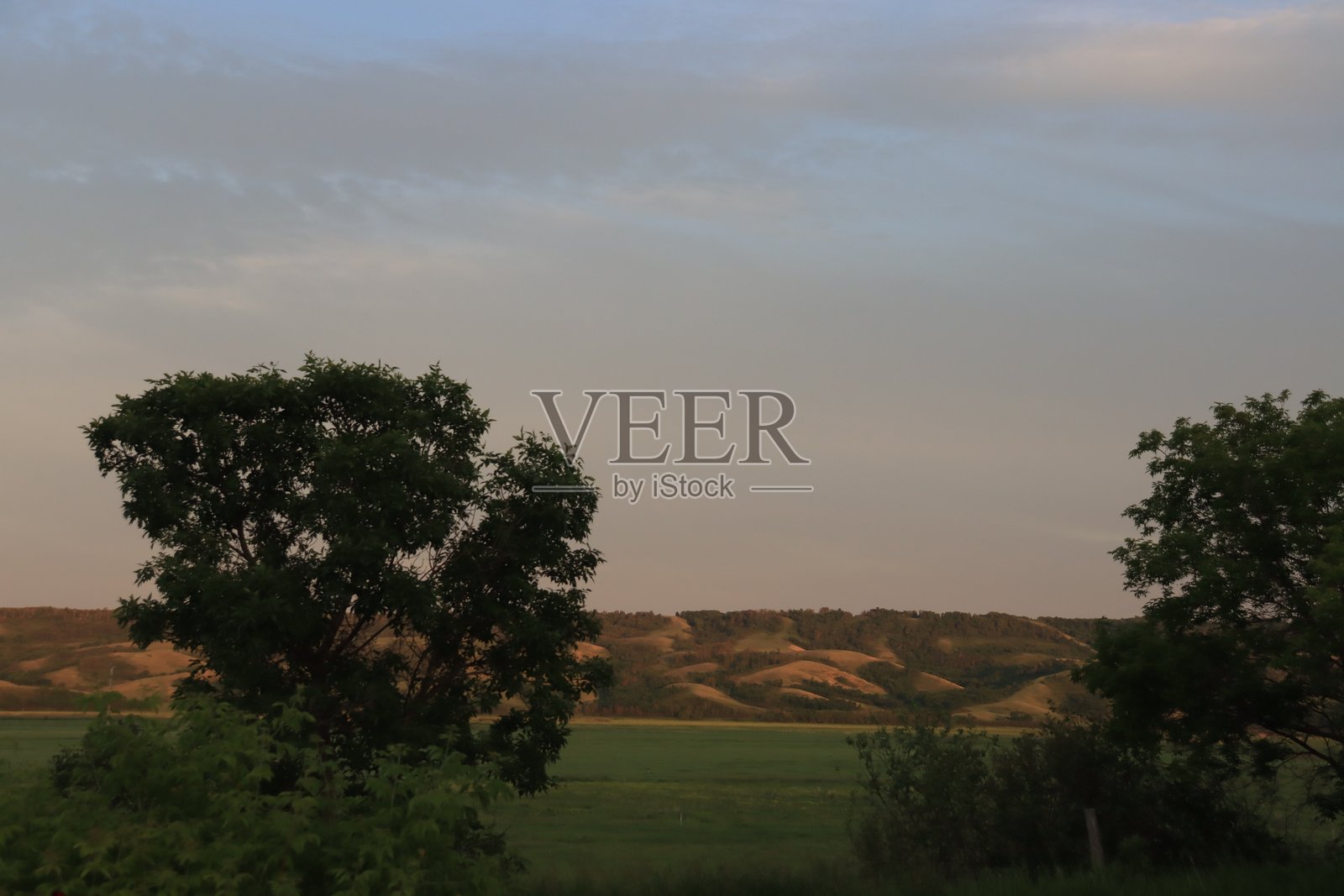 暴风雨与花朵交织的山谷风景照片摄影图片