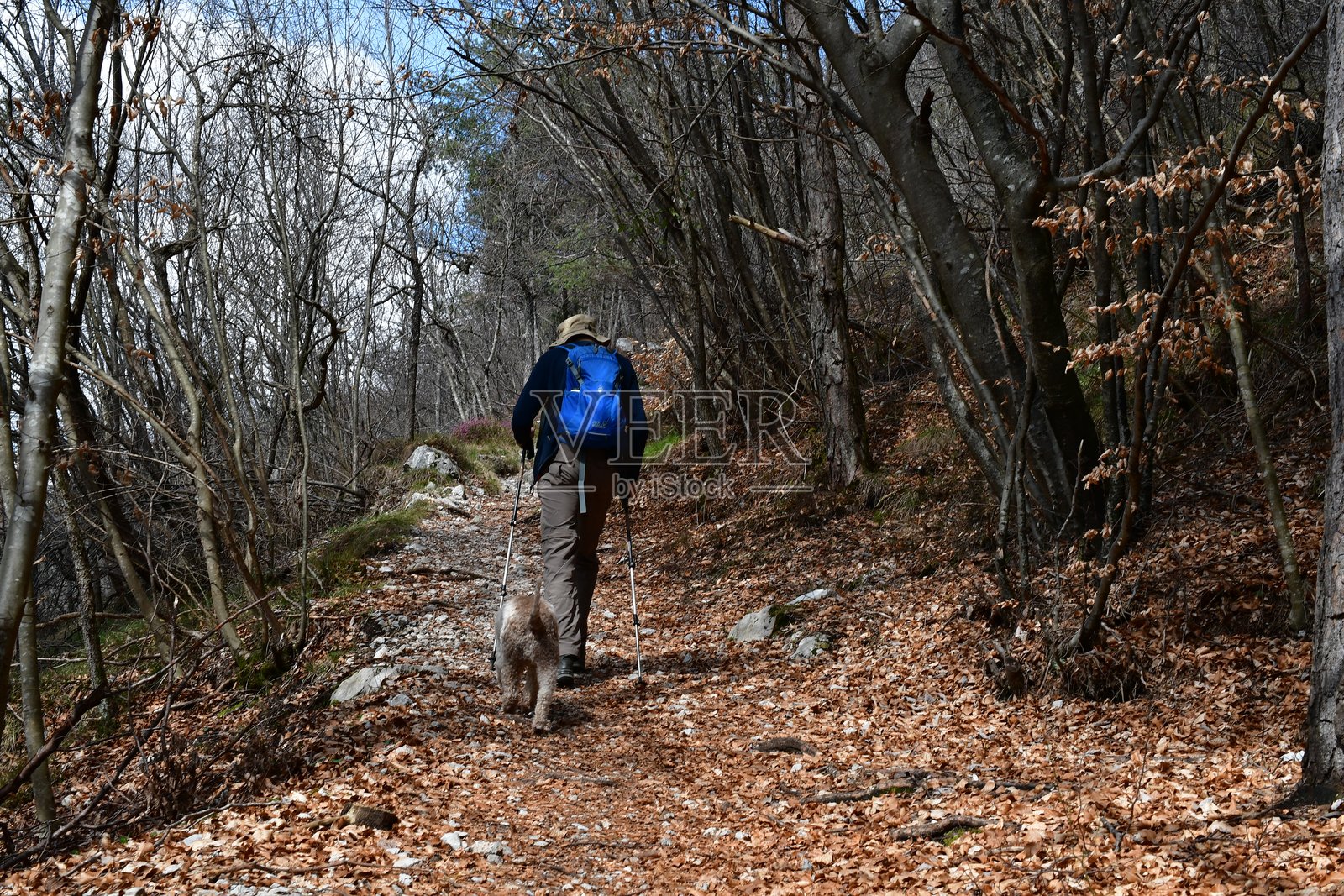 男子与他的拉戈托·罗马涅犬在特伦蒂诺的莱德罗湖附近徒步旅行照片摄影图片