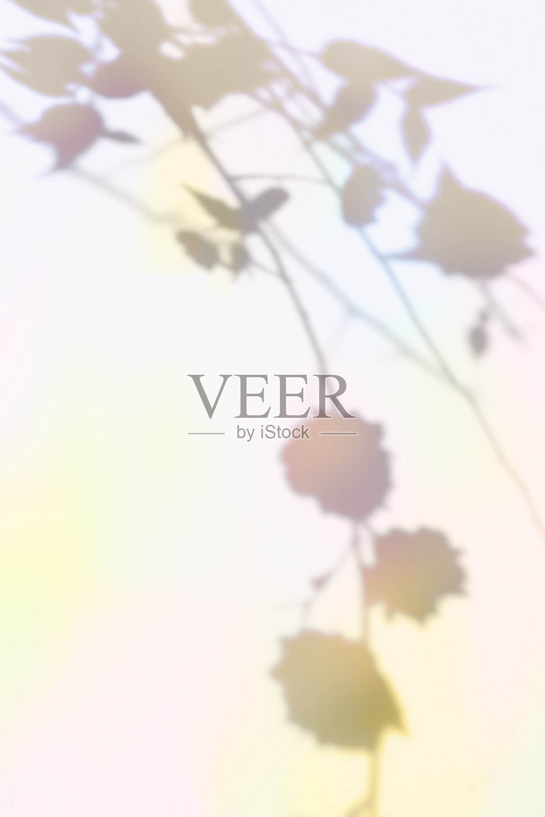 多彩植物的阴影背景照片摄影图片