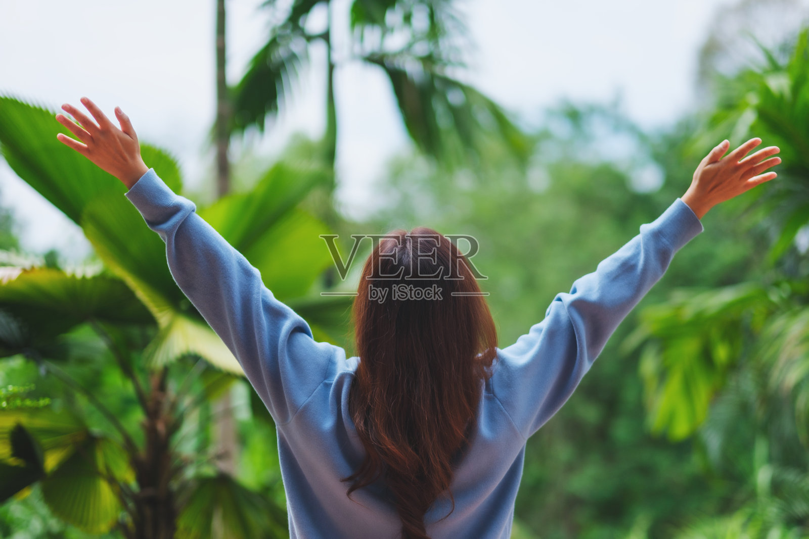 女人在花园中张开双臂的背影图像照片摄影图片