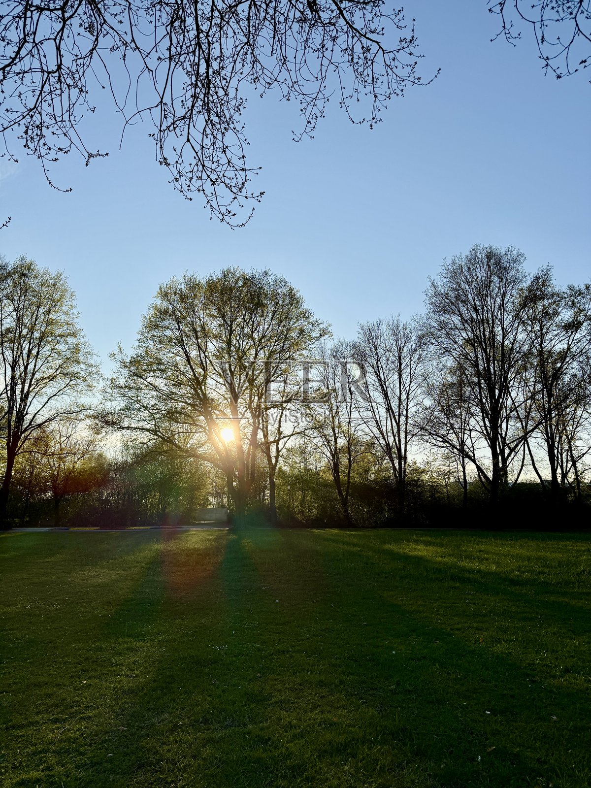 春天照片摄影图片