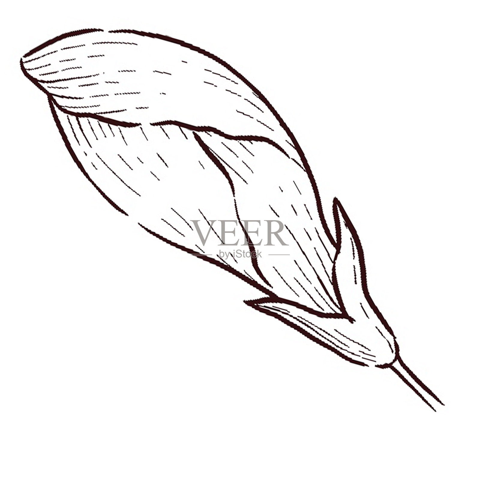 Crystals and flowers illustration set插画图片素材