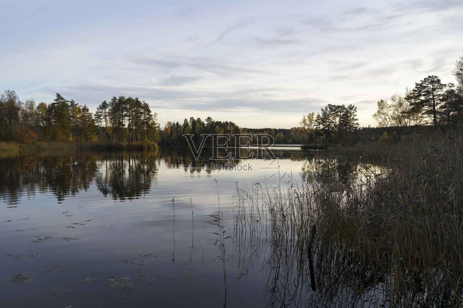 瑞典秋季的自然风光与景观。照片摄影图片