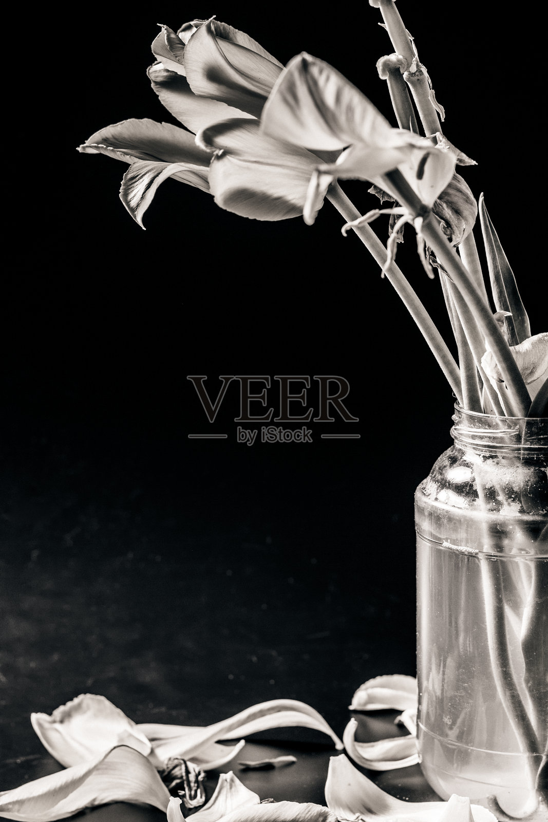 干枯和褪色照片摄影图片