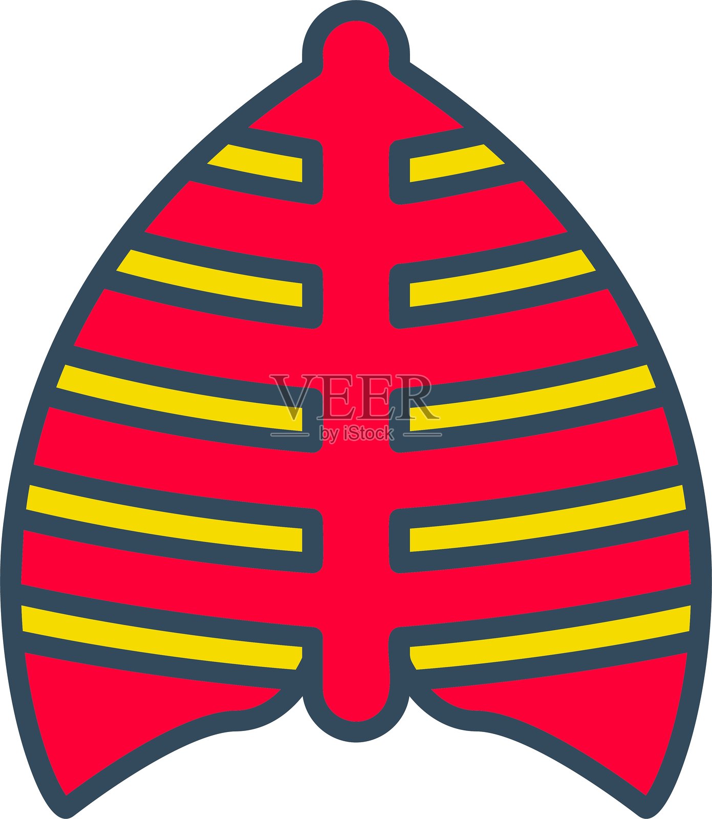 肋骨图标插画图片素材
