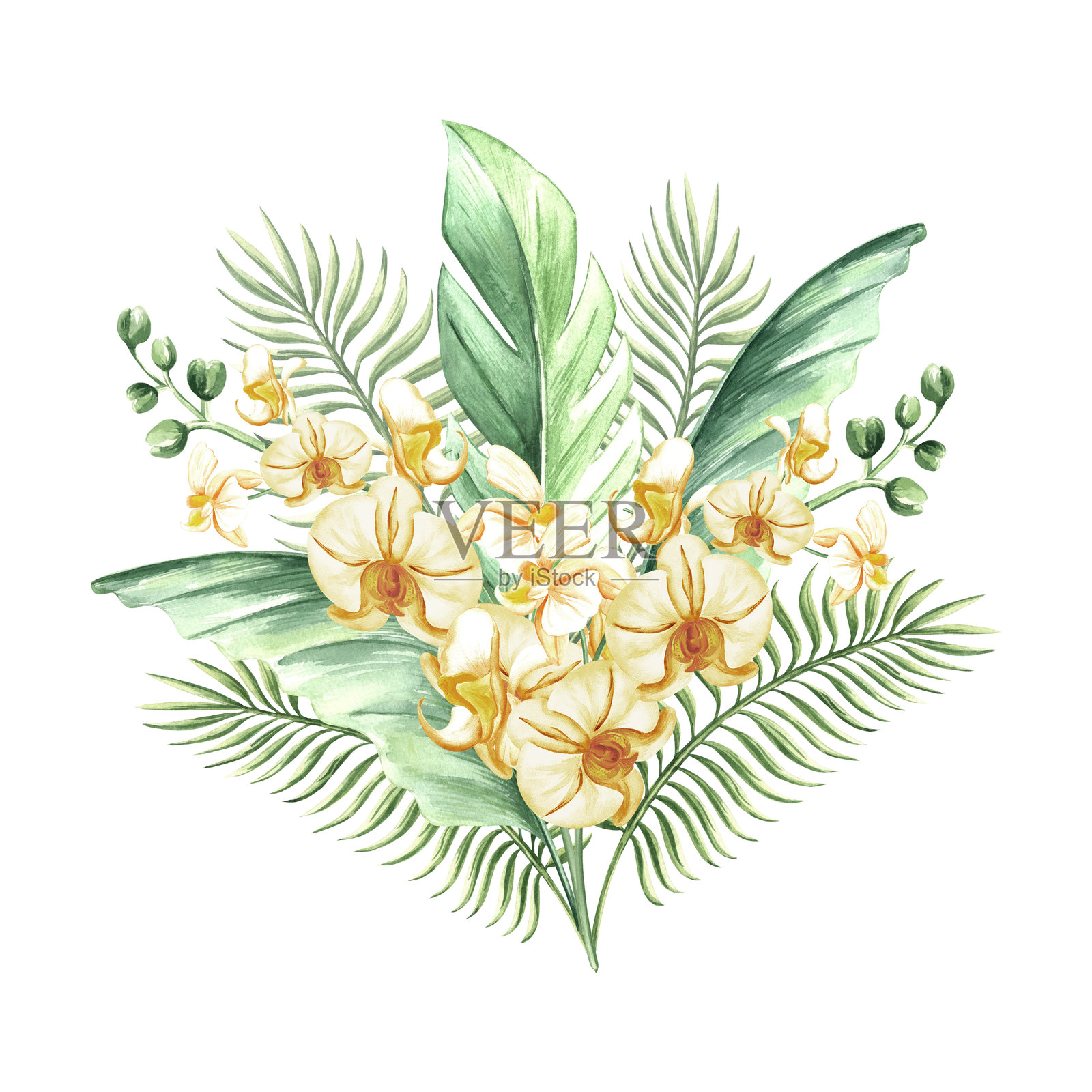 水彩热带叶子和黄色兰花的孤立插图,适用于夏季雨林设计。手绘的绿色怪兽植物、蝴蝶兰枝和丛林植物,采用逼真的植物风格。插画图片素材