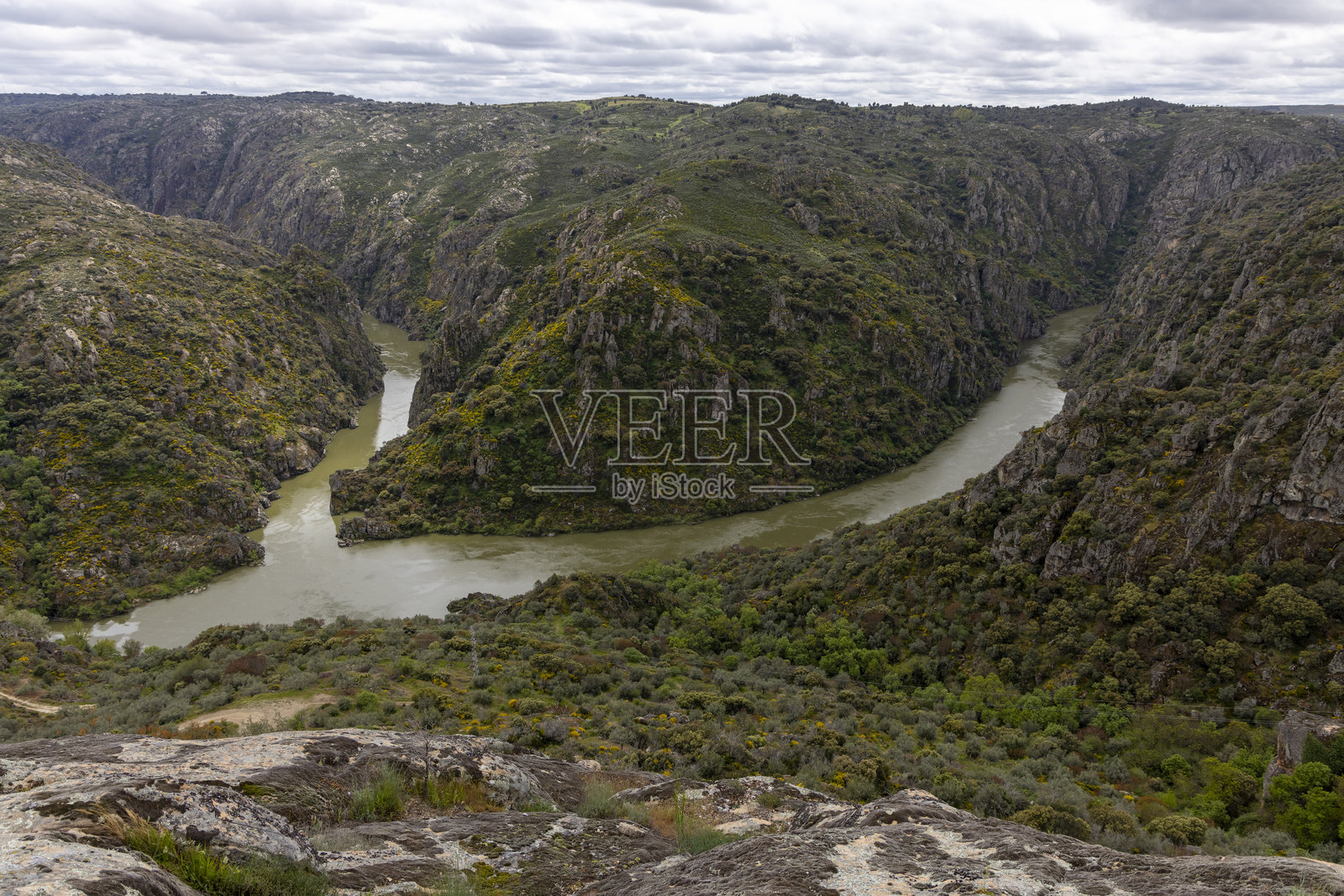 壮观的河流峡谷,绿意盎然的植被。照片摄影图片