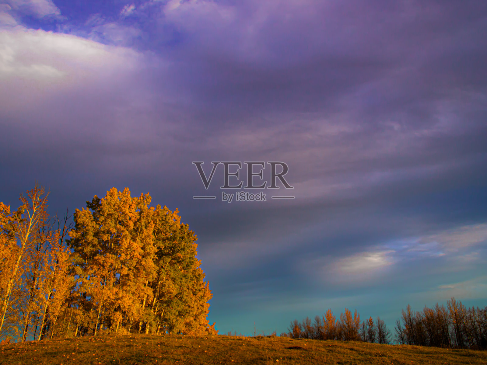 自然天窗照片摄影图片