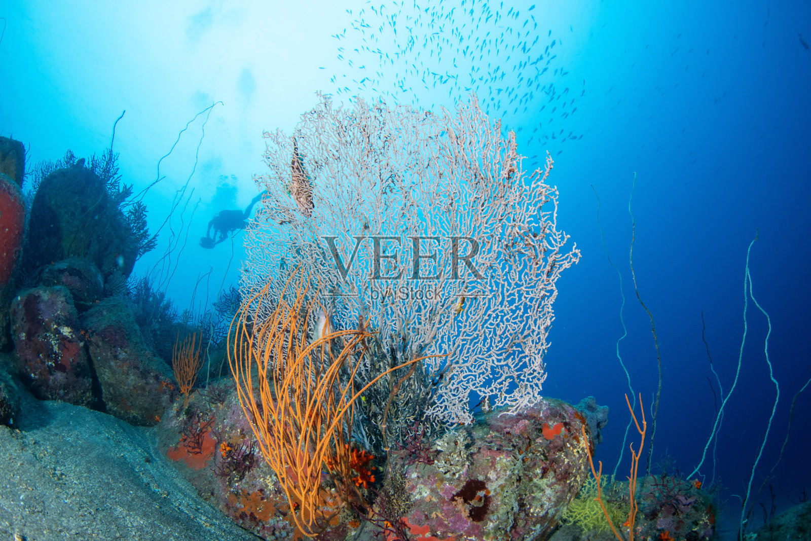 美丽的水下景观与阳光照片摄影图片