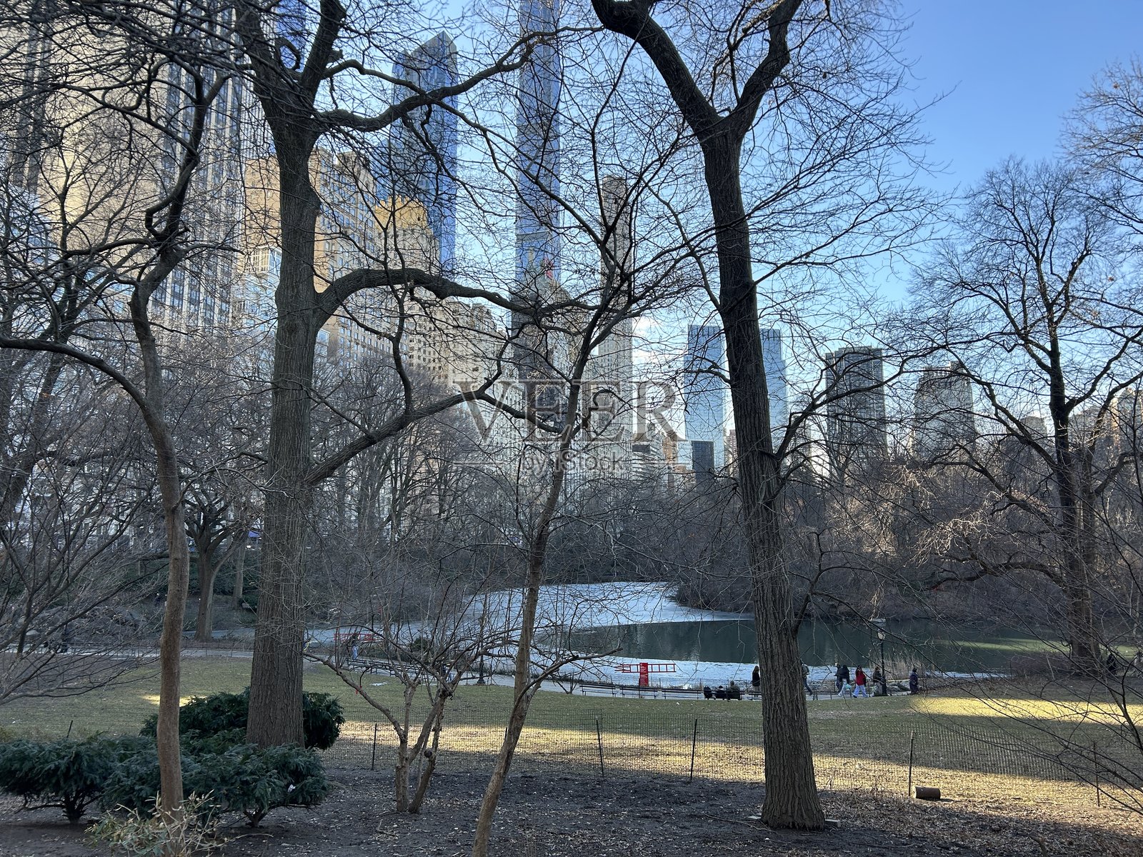 中央公园照片摄影图片