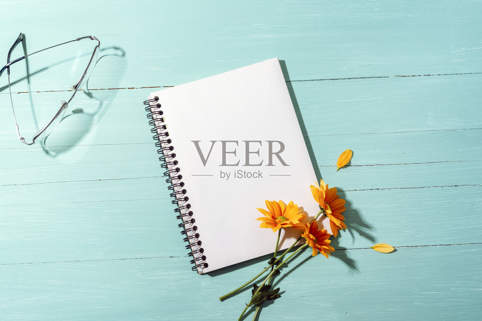 阳光下的青绿色木背景上,空白的螺旋笔记本上有橙色花朵和眼镜。俯视图,平铺展示,样机。照片摄影图片
