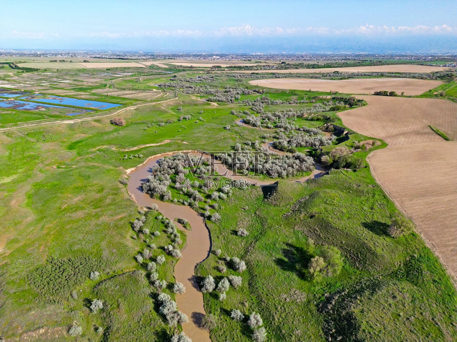 大片农田和放牧动物。照片摄影图片