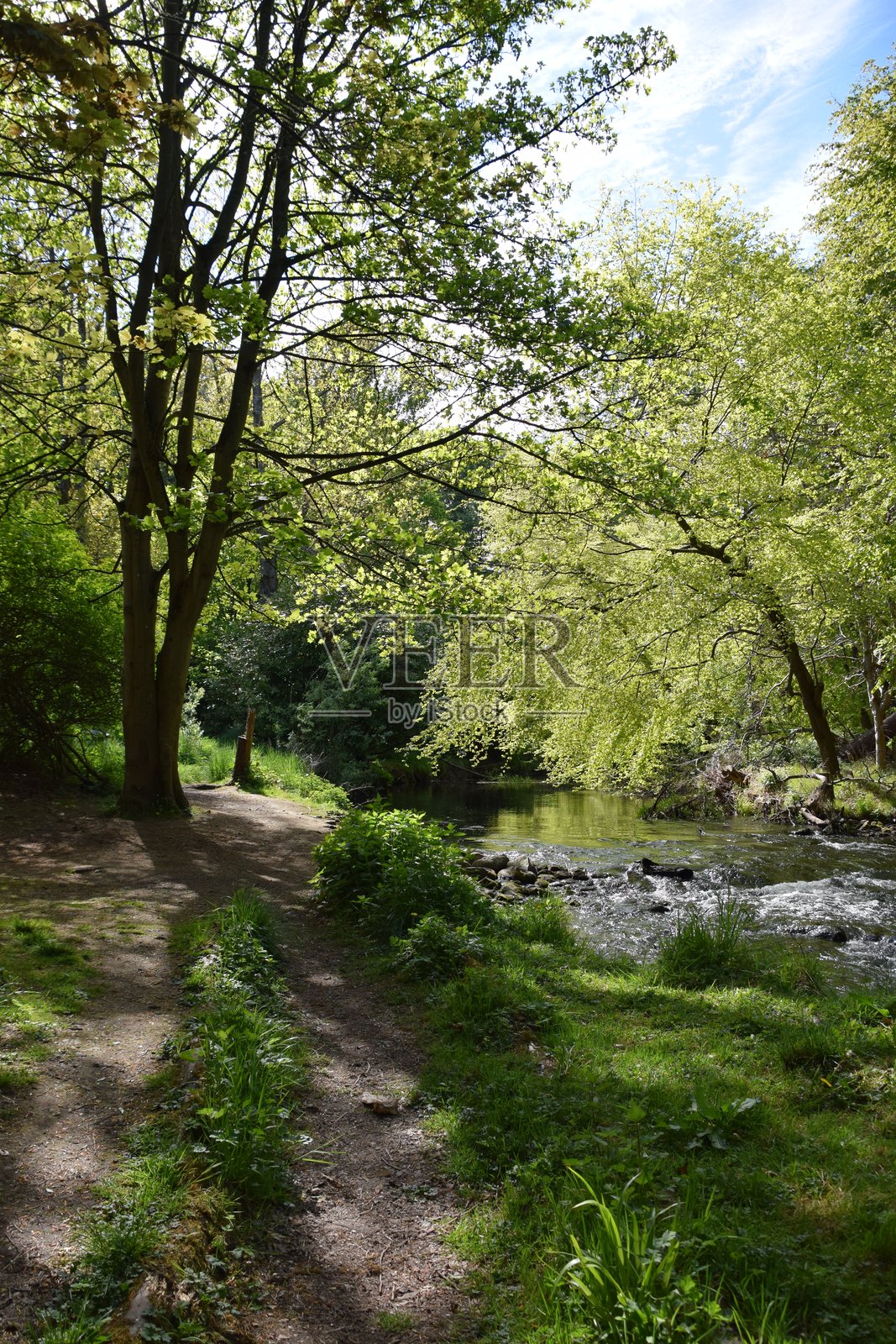 春天的西顿公园照片摄影图片
