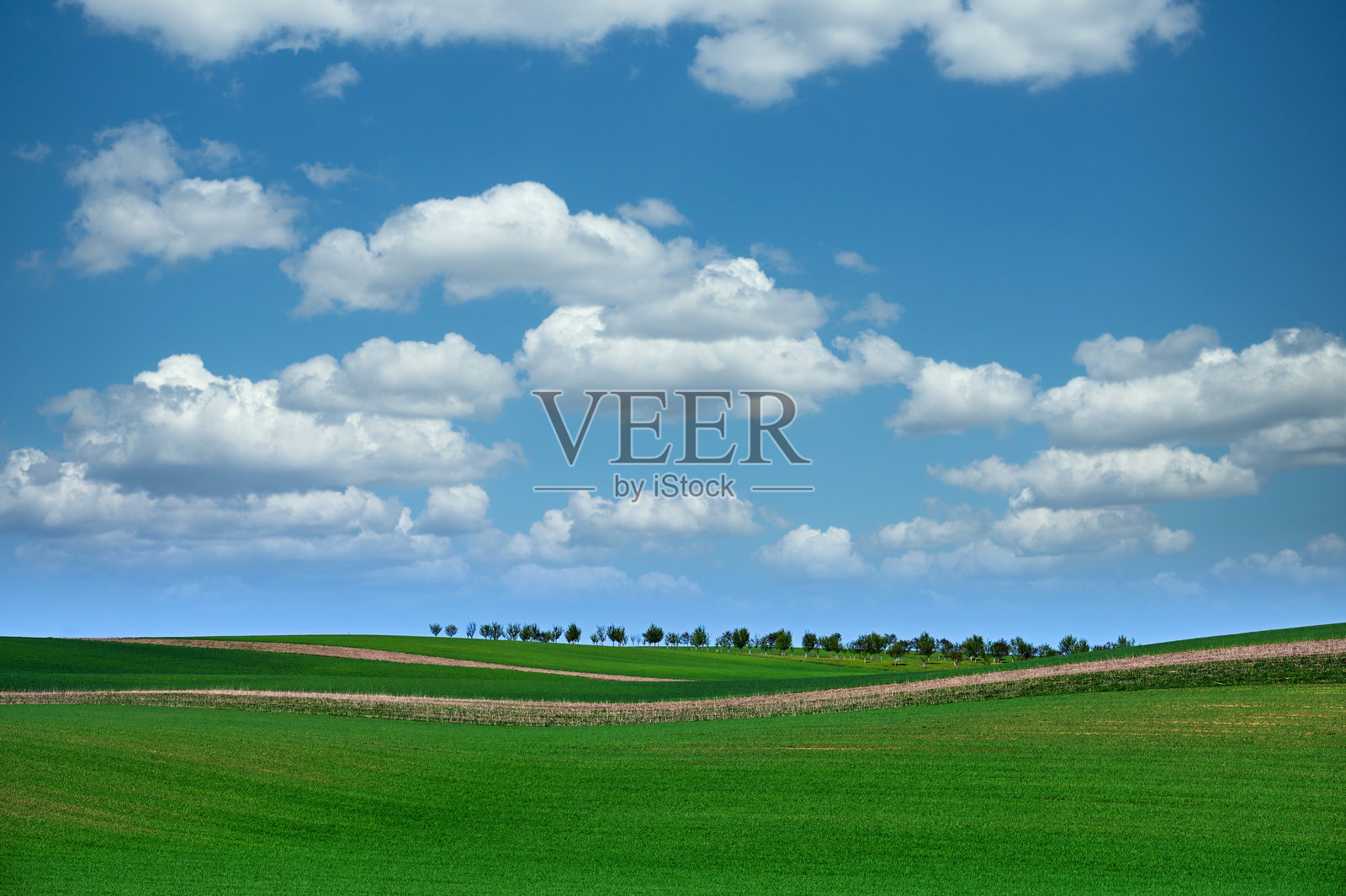 绿色小麦和果园,起伏的丘陵风景,摩拉维亚,捷克共和国照片摄影图片