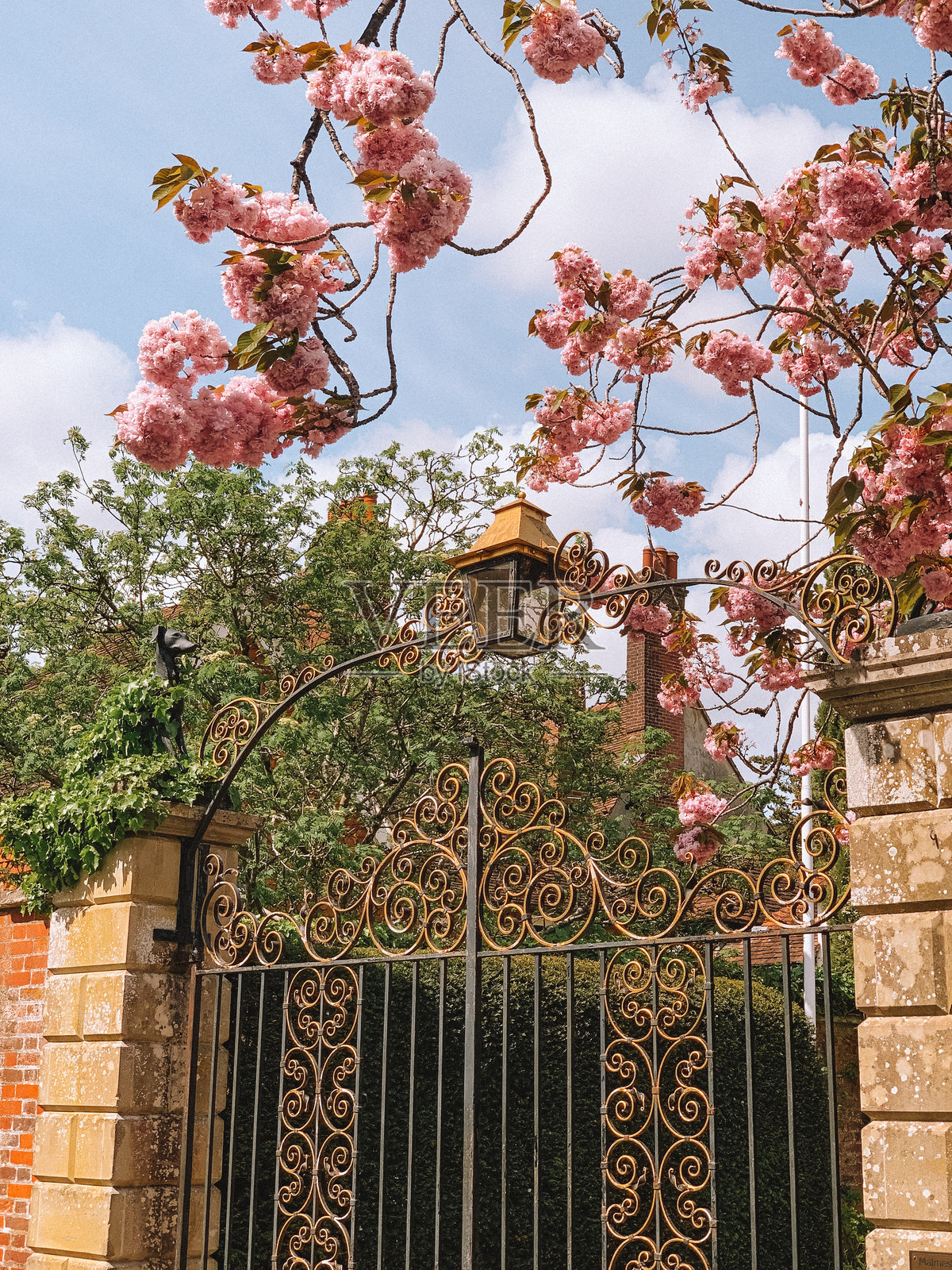 英格兰索尔兹伯里历史悠久的城镇 – 中世纪建筑和大教堂景观的迷人城市风光照片摄影图片