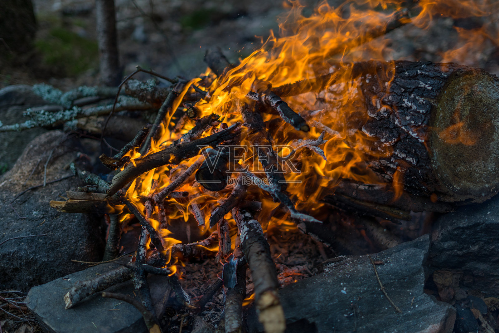 黑暗森林中的篝火照片摄影图片