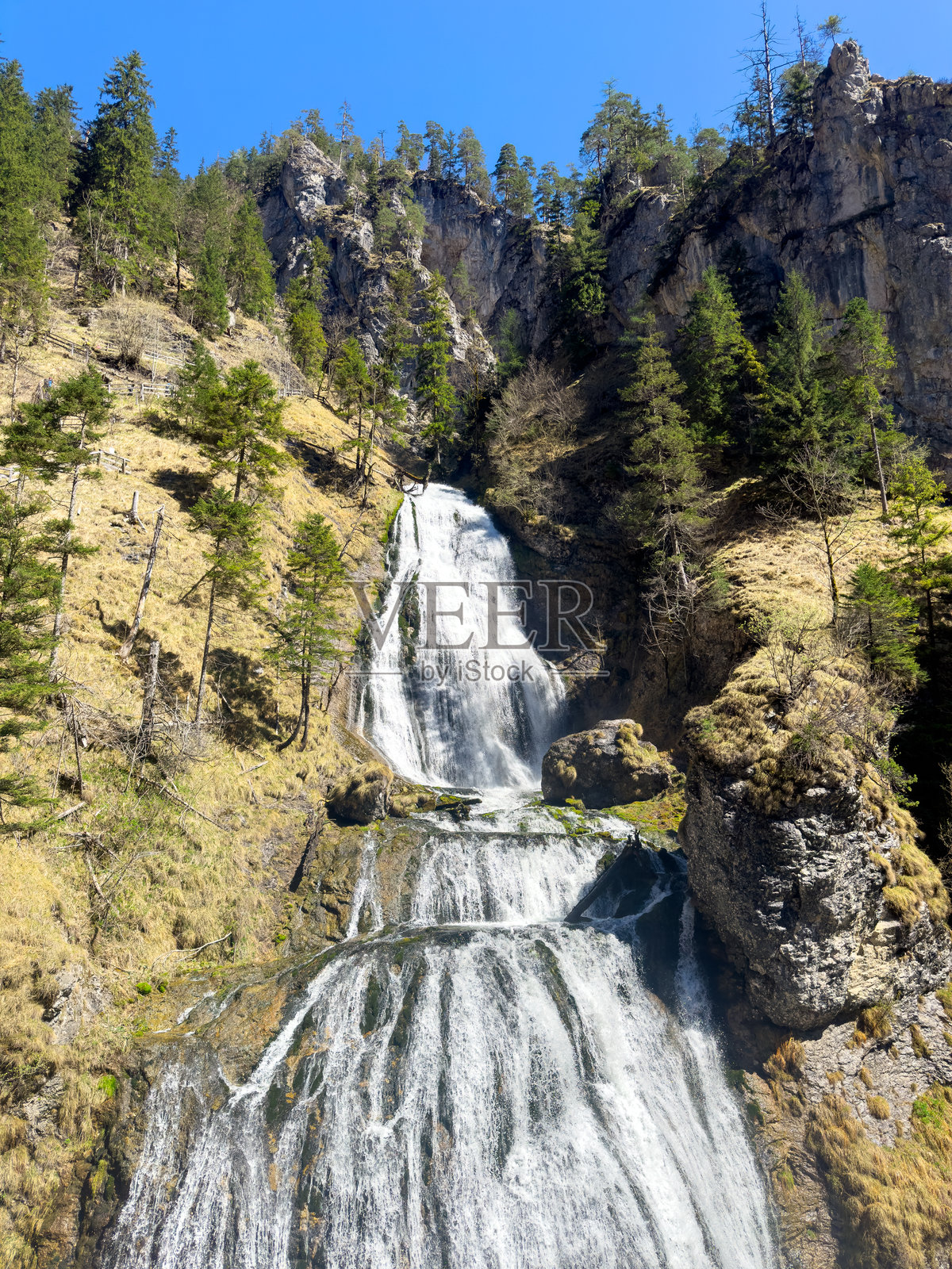 在被针叶树覆盖的岩石山脉中,小瀑布的景观照片摄影图片