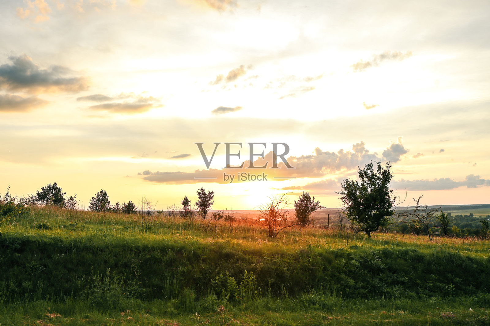 金色的日落洒下温暖的光线,照耀着点缀着年轻树木和灌木的草坡,远眺宁静的乡村地平线和遥远的田野。照片摄影图片